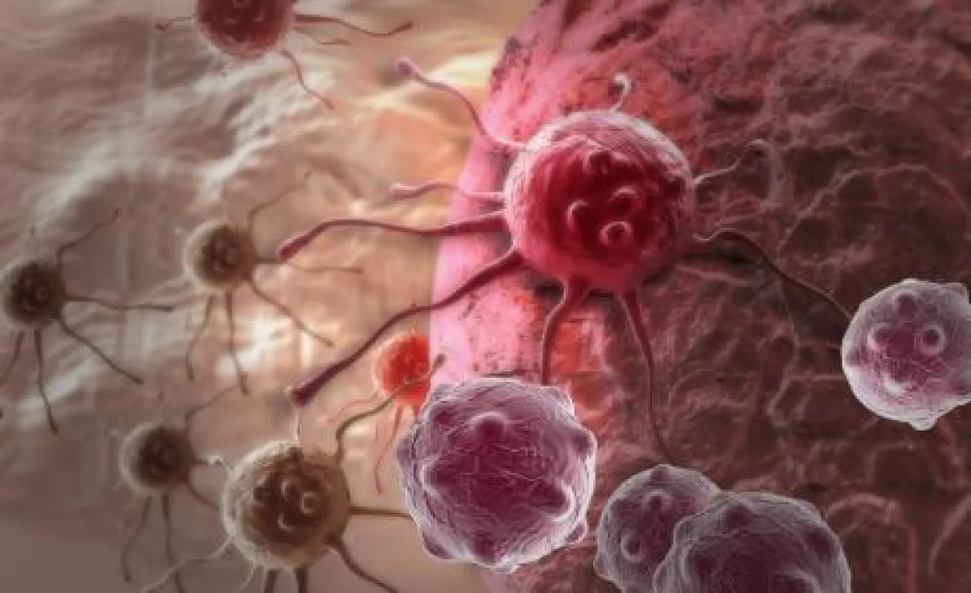 Cancer as a Curable Metabolic Disease