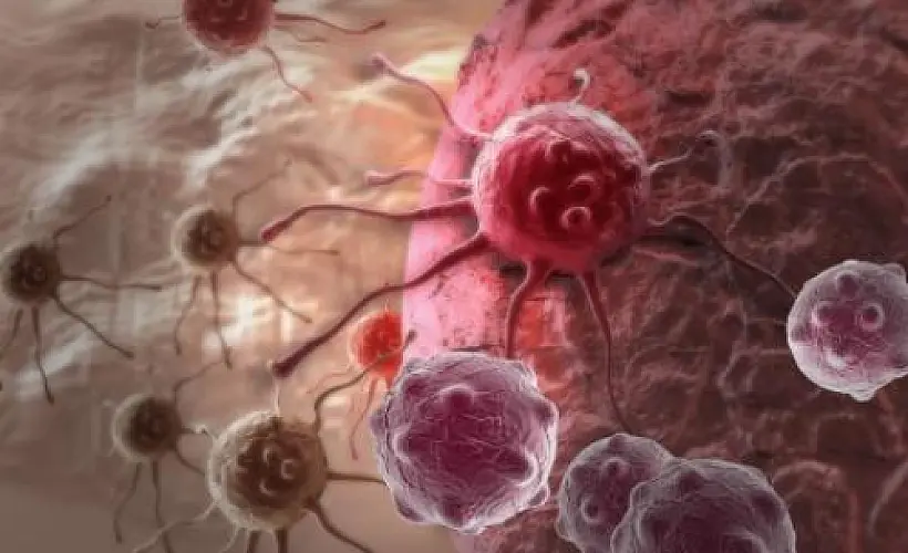 Cancer as a Curable Metabolic Disease