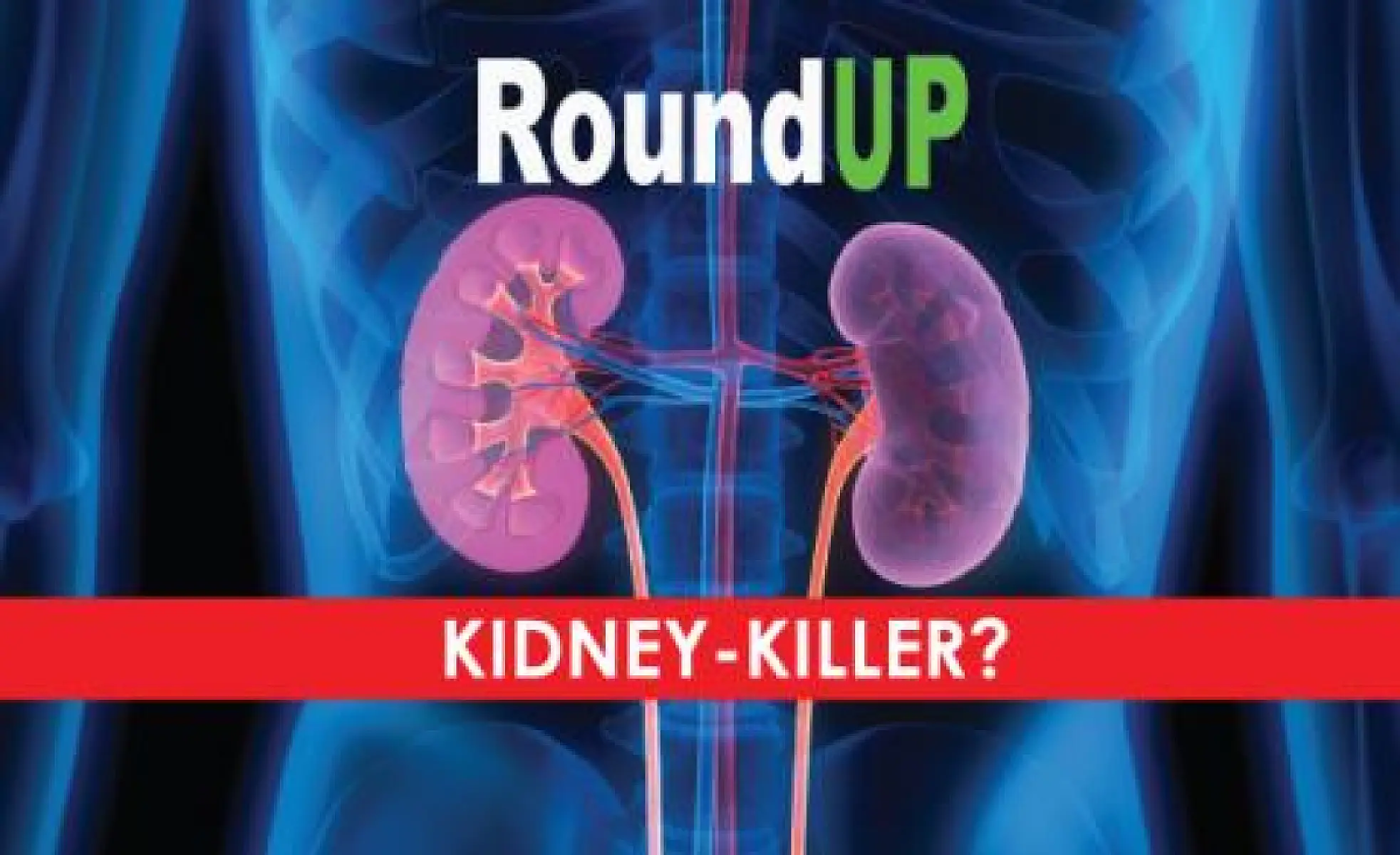 Roundup Herbicide: A Kidney-Killer?