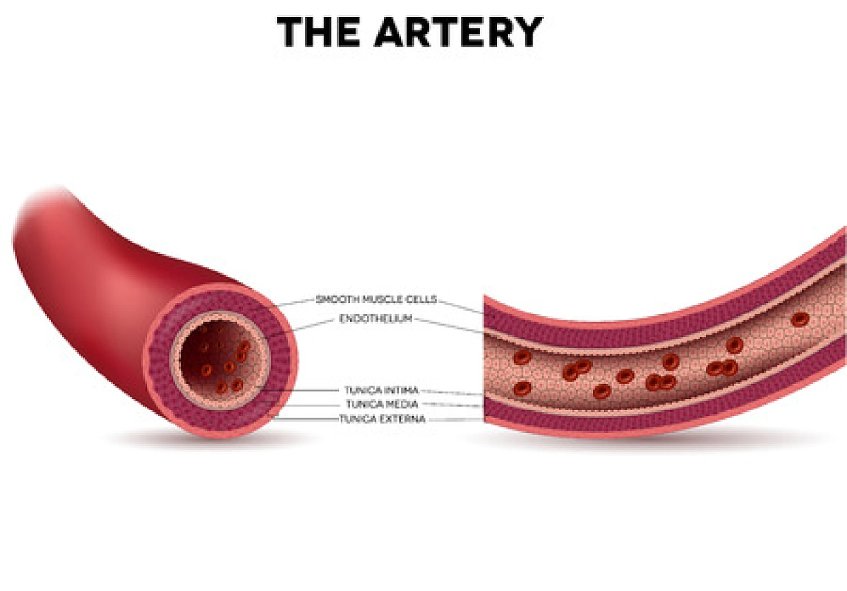 Acupoint Injection