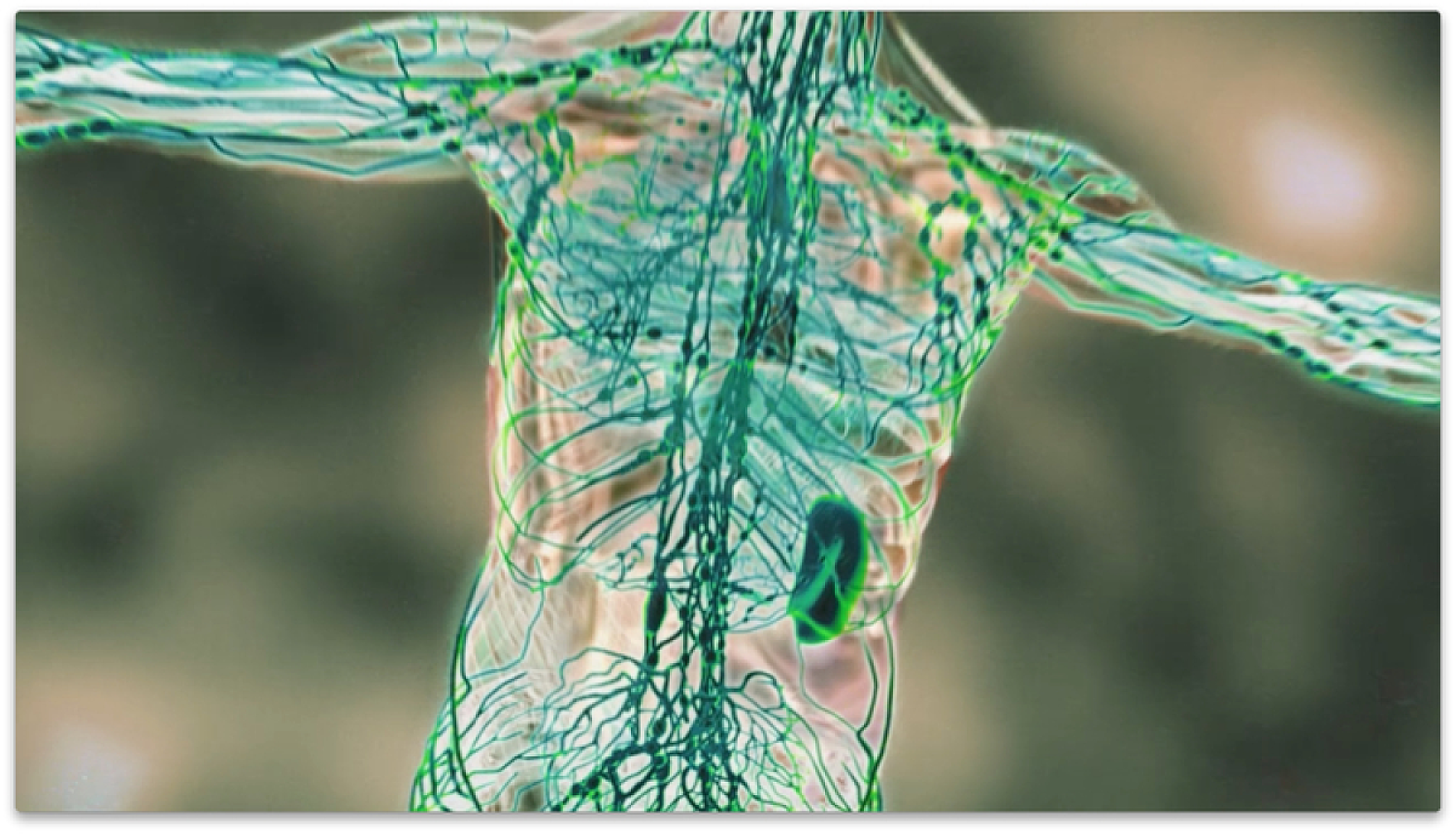 The Universal Process of Degenerative Disease & The Vital Role of The Lymphatic System