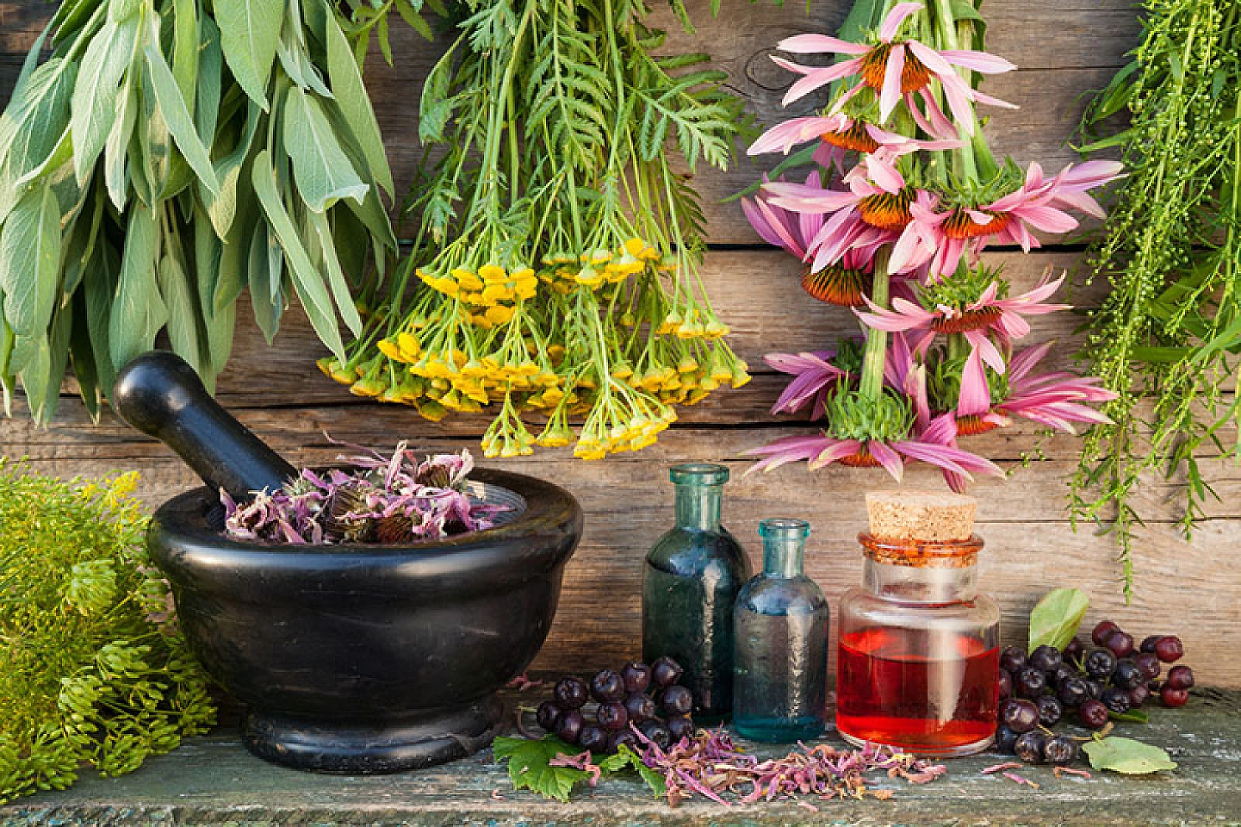 Healing from Vaccine Injuries through Homeopathy