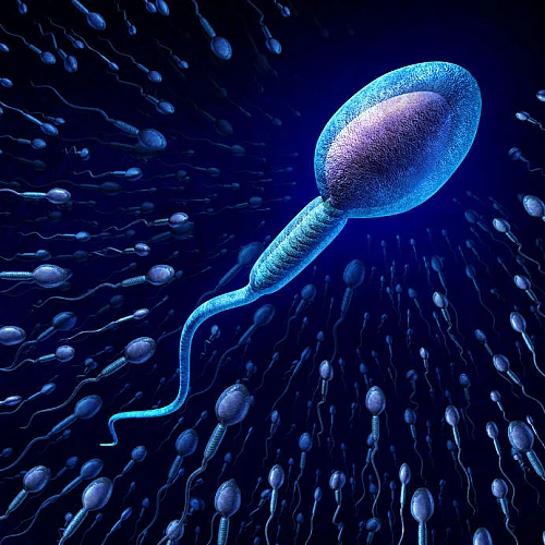 Is This Ubiquitous Toxic Metal Lowering Men’s Sperm Counts?
