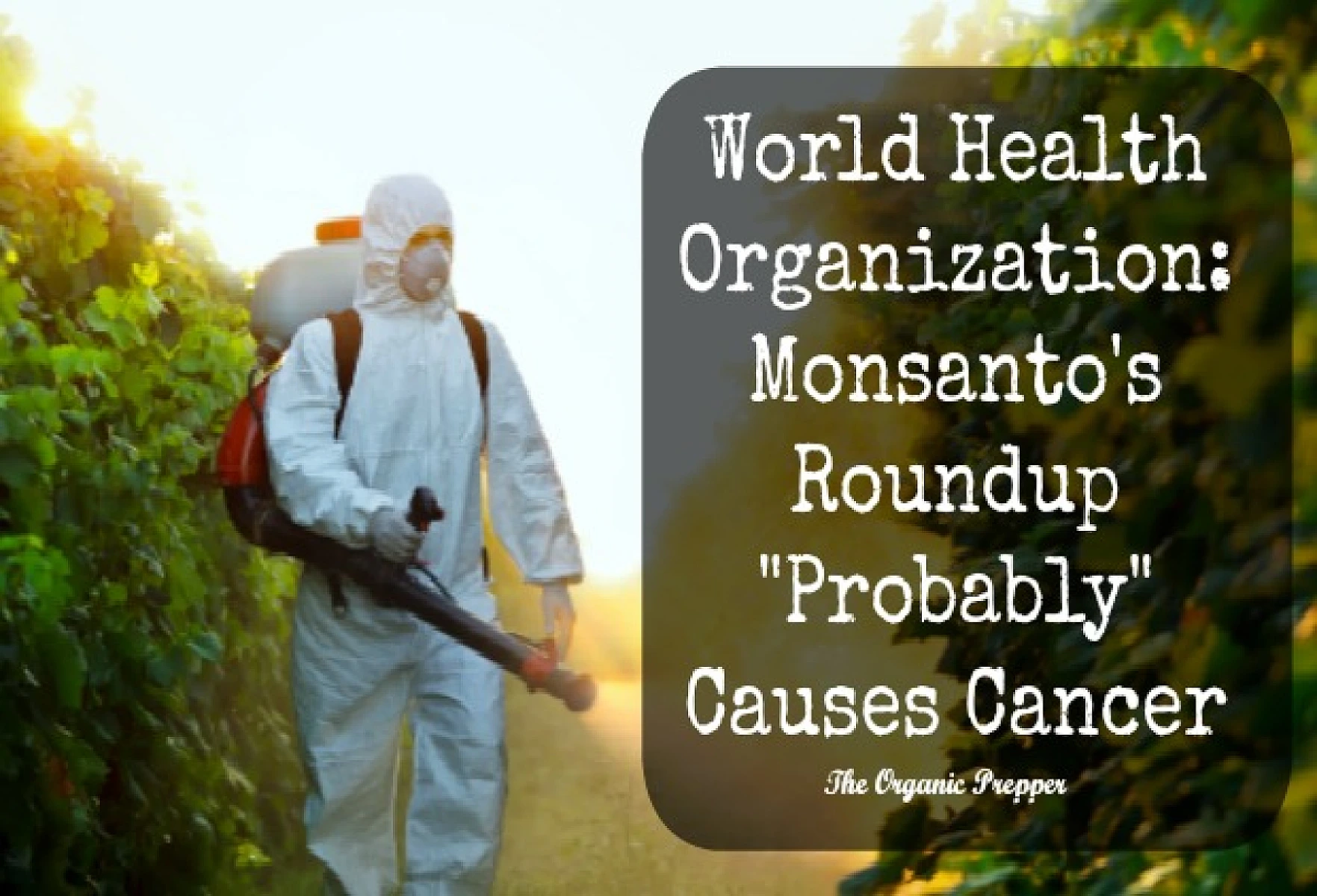 Drop Those Soybeans: Roundup Causes Cancer