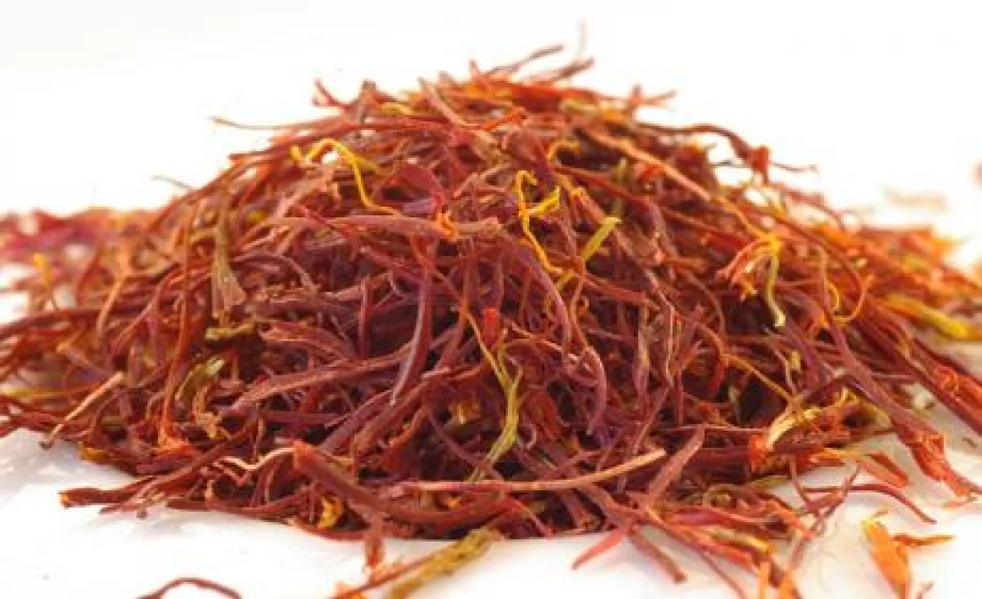 Saffron Protects Against Macular Degeneration