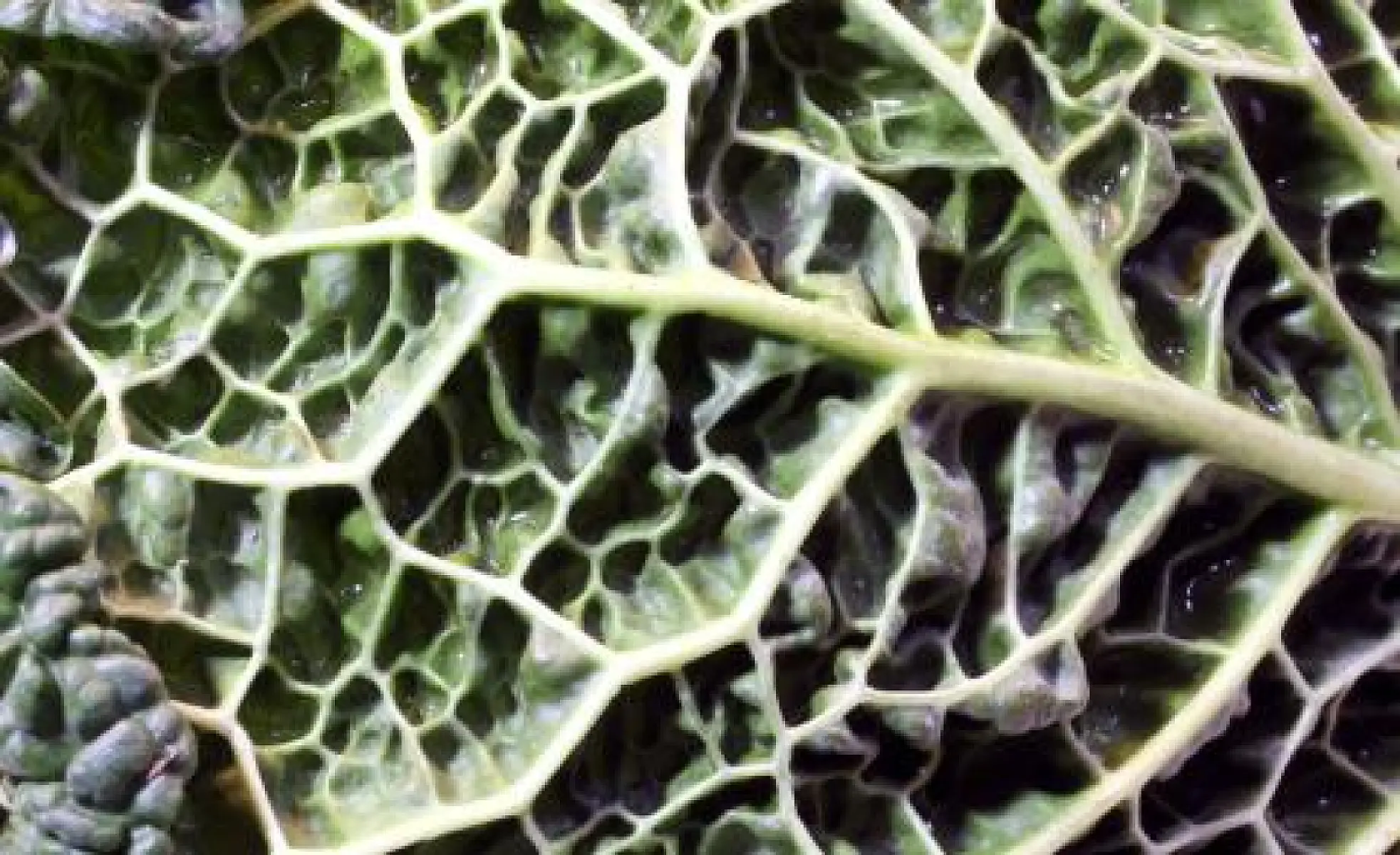 7 Reasons to Get More Magnesium