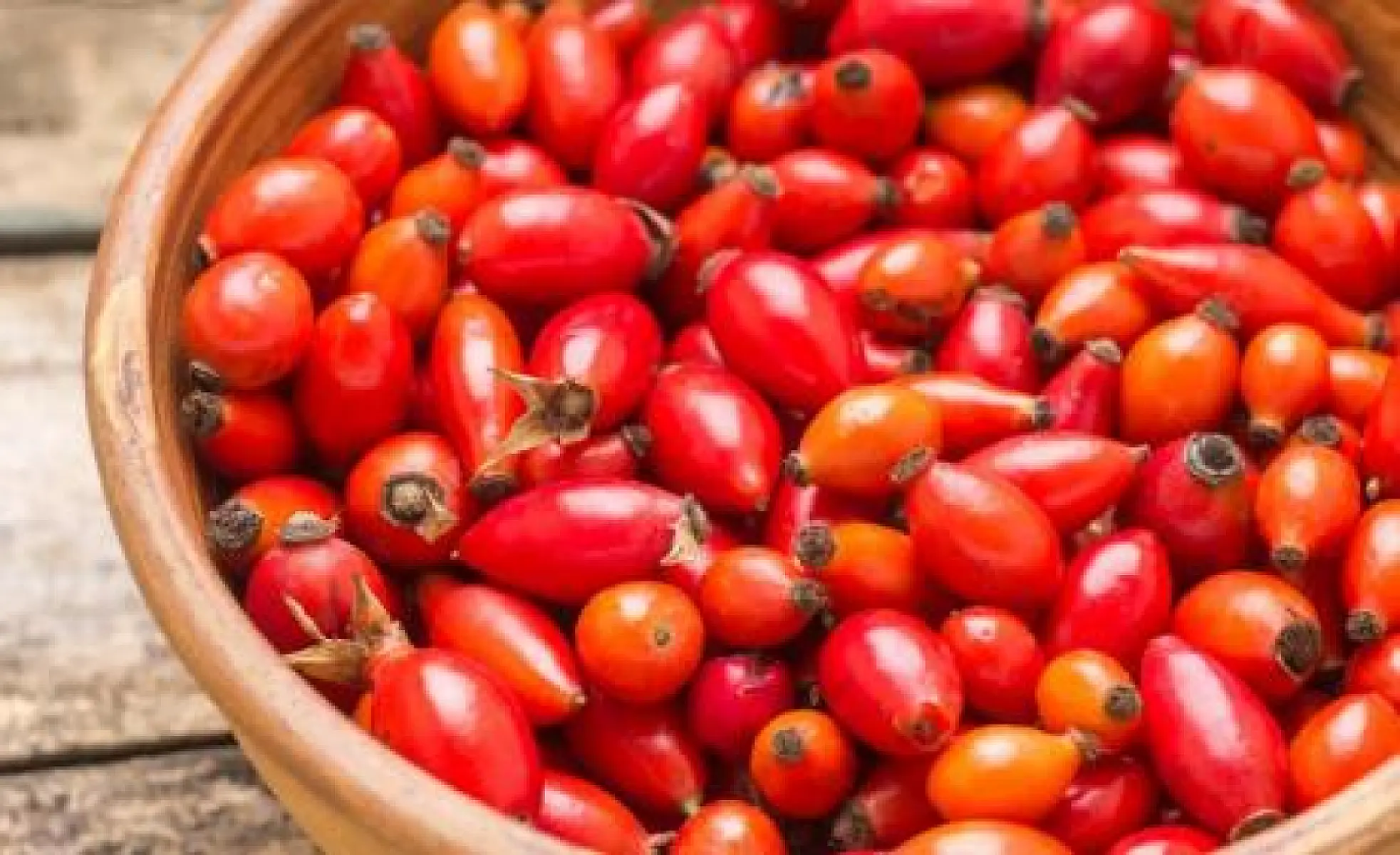 Rosehips Melt Belly Fat Naturally