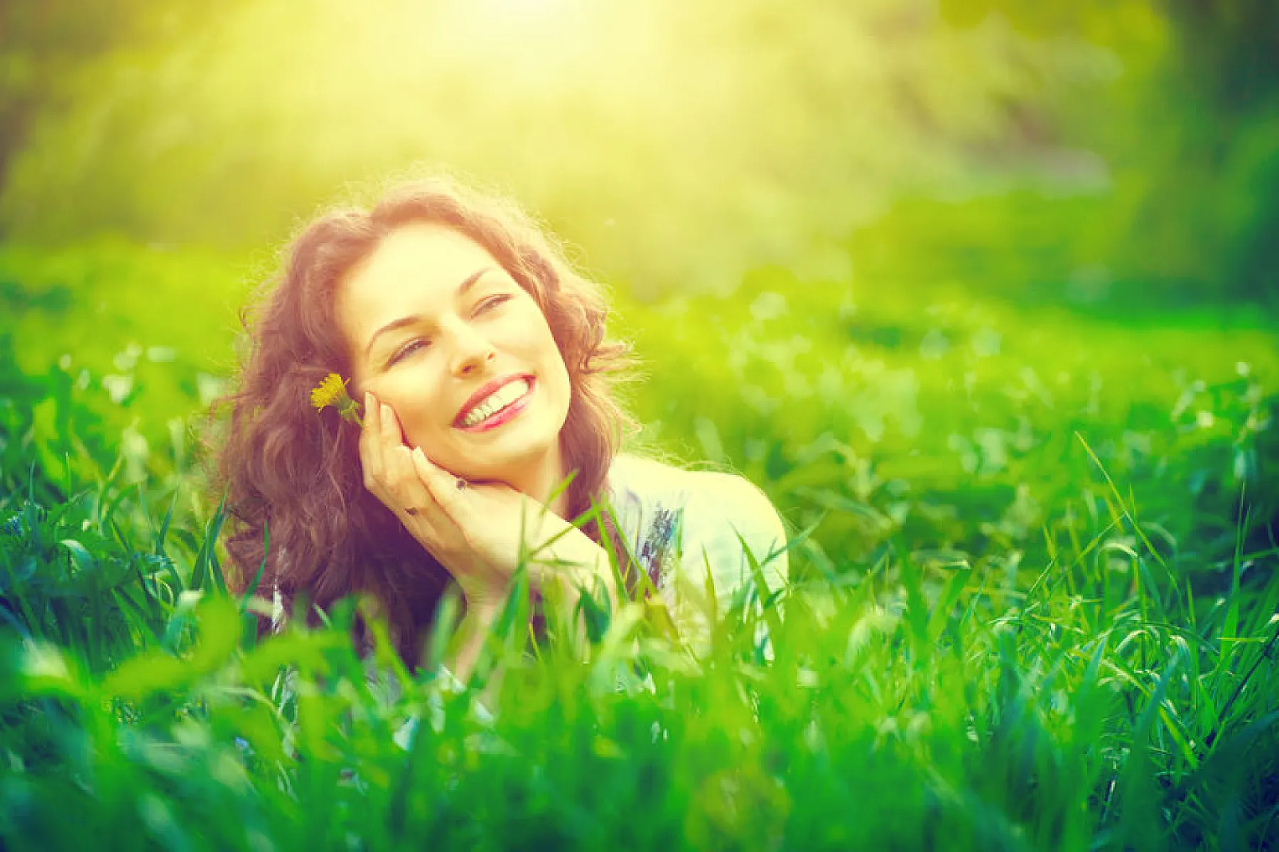 Amazing Discovery: Plant Blood Enables Your Cells To Capture Sunlight Energy