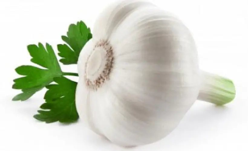 5 Food-Medicines That Could Quite Possibly Save Your Life