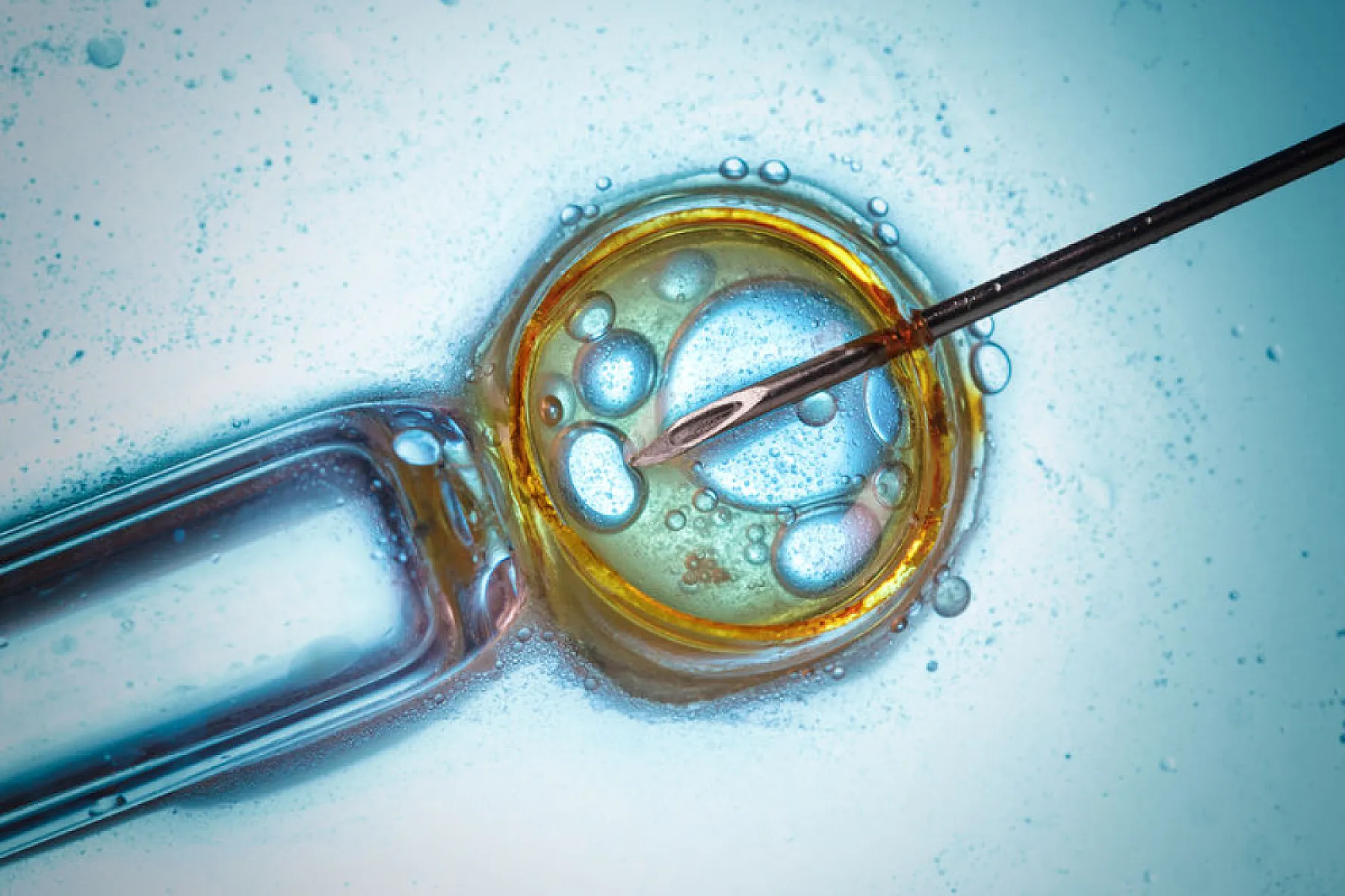 'Germs' Beat Vaccines At Their Own Game: Anti-Malarial Probiotics Show Promise