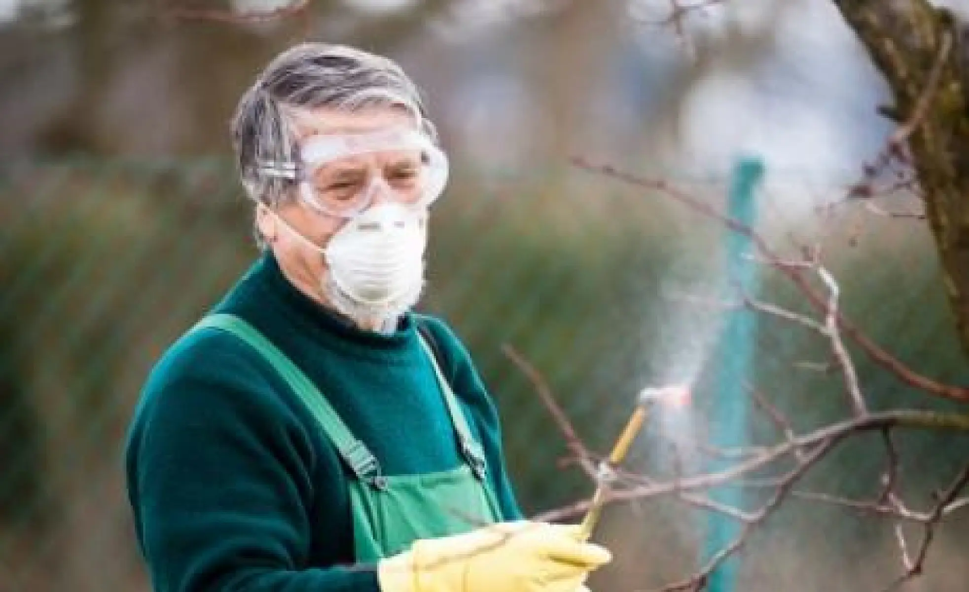 Roundup Herbicide Linked to Parkinson's-Related Brain Damage