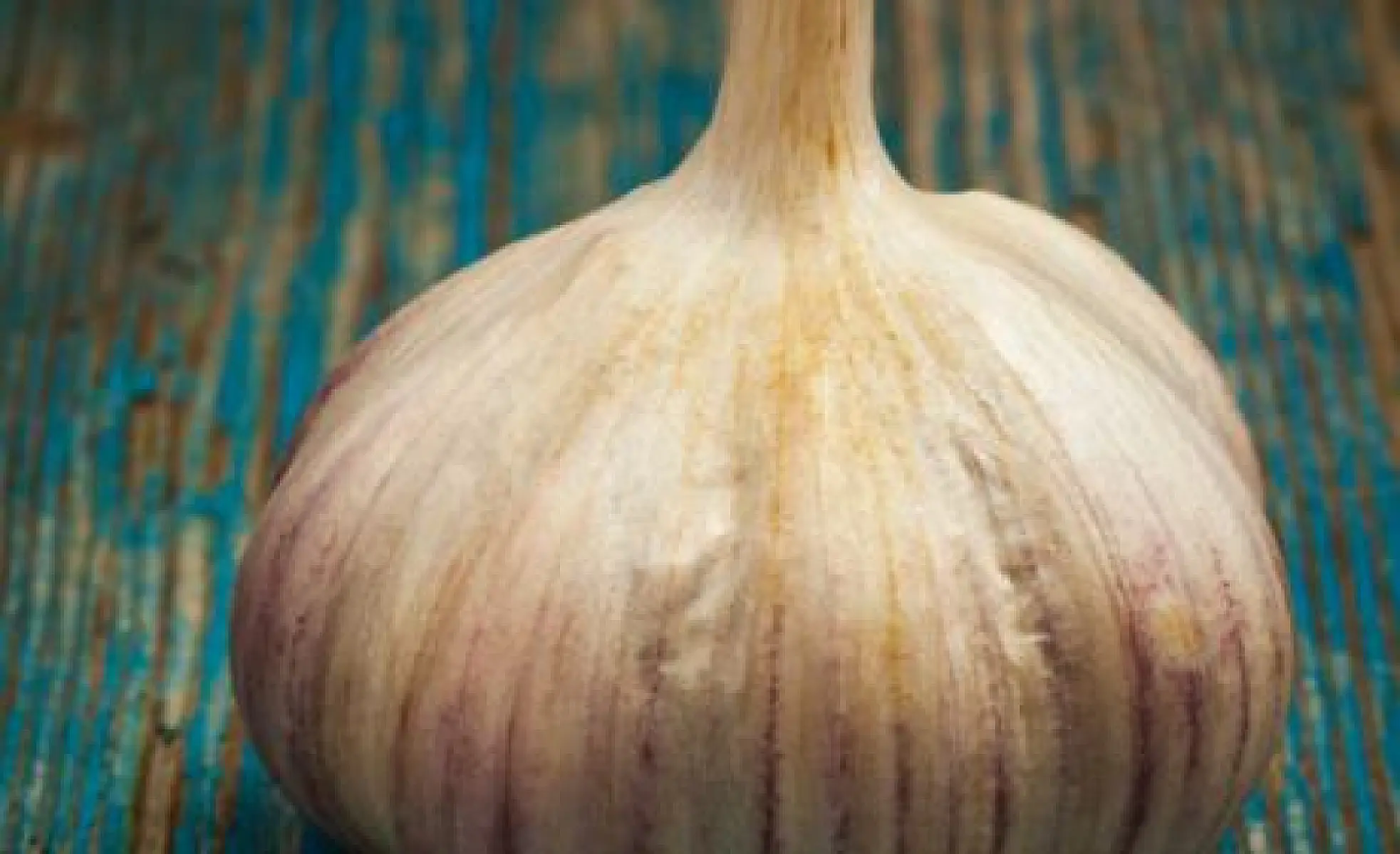 Garlic Prevents Artery Calcification and Infection
