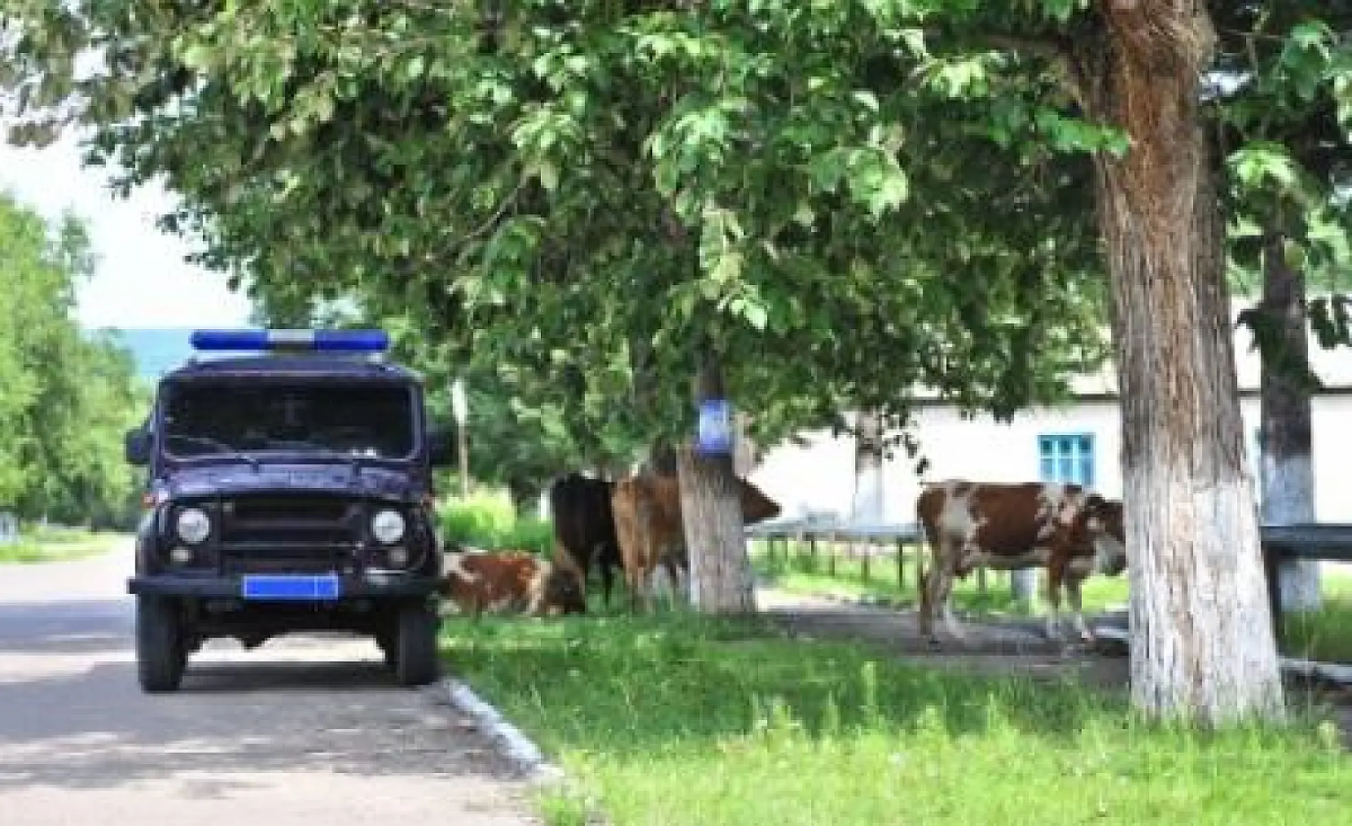 Op-Ed: Another Way to Kill US Farmers...