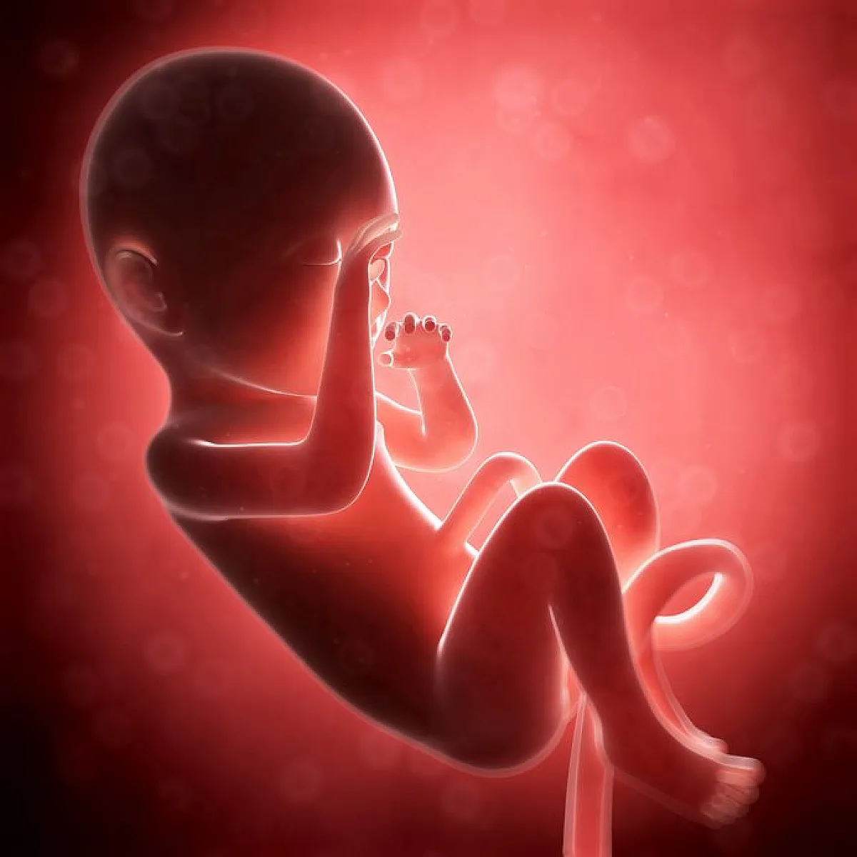 The Tiniest Ones: Doctors Ignore Data on Premies