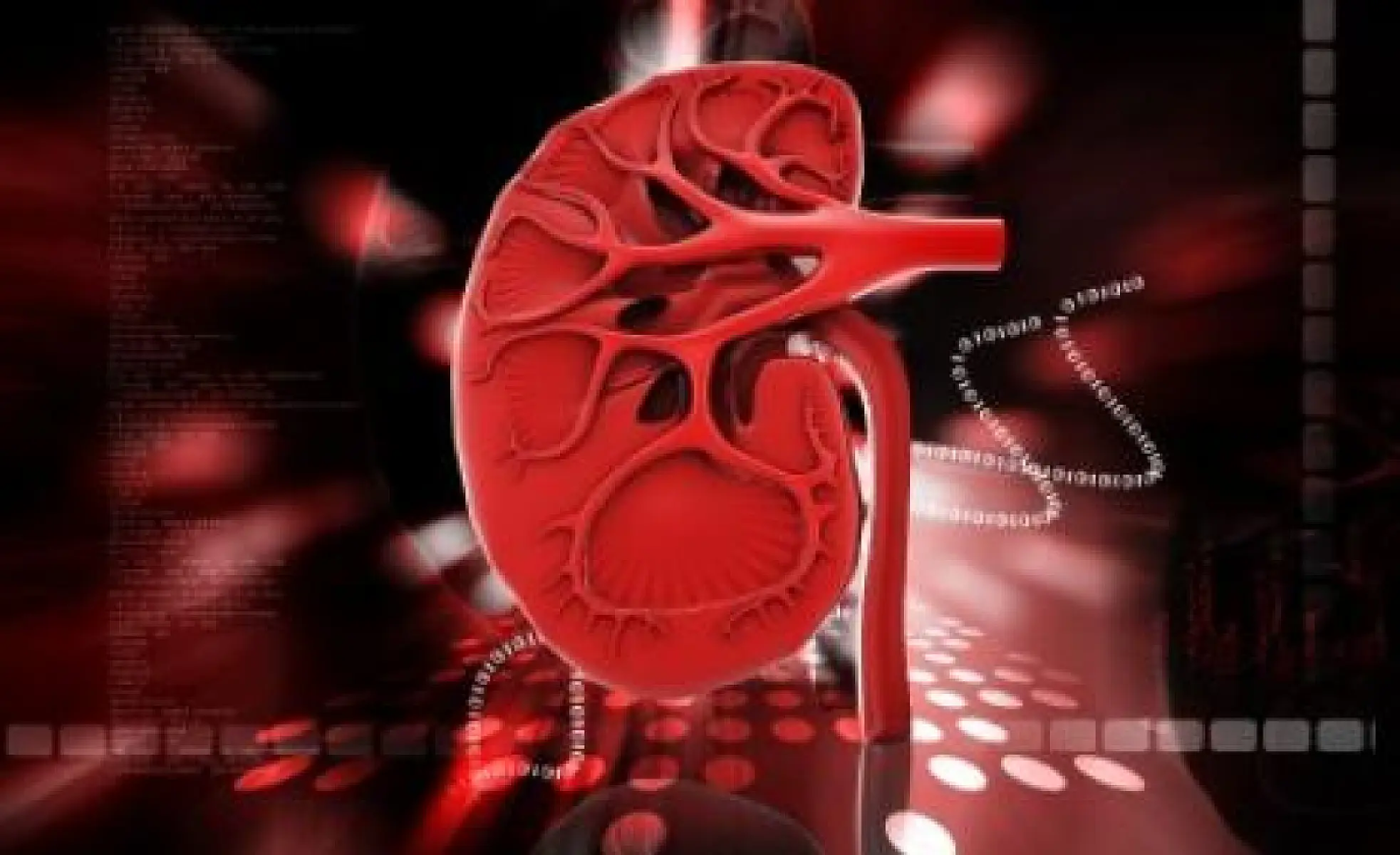 Stress Hormones Found to Make Cancer Resistant to Treatment