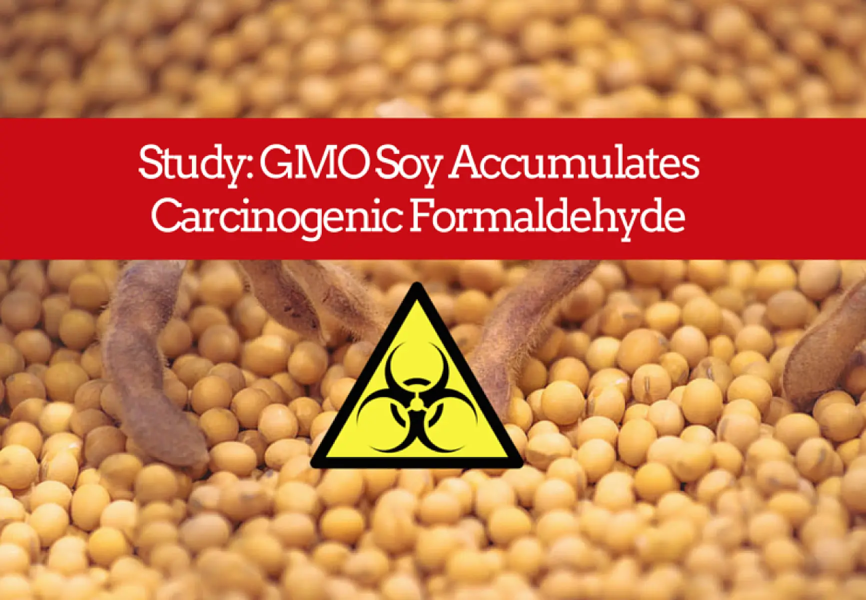 Game-Changing Study: GMO Soy Accumulates Carcinogenic Formaldehyde