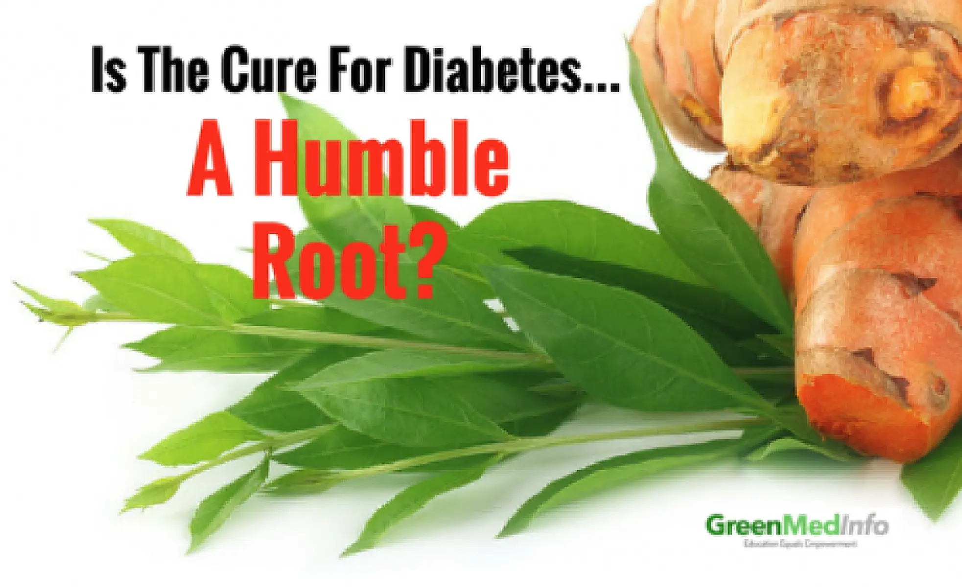Is the Solution for Diabetes a Humble Root?