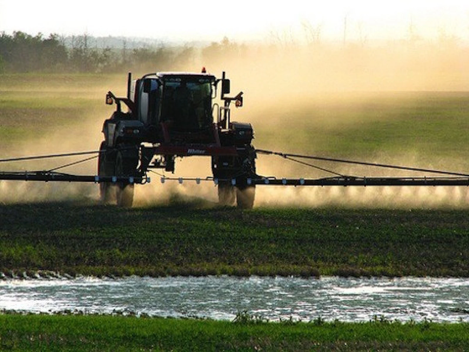 The Case of Glyphosate: Product Promoters Masquerading as Regulators?