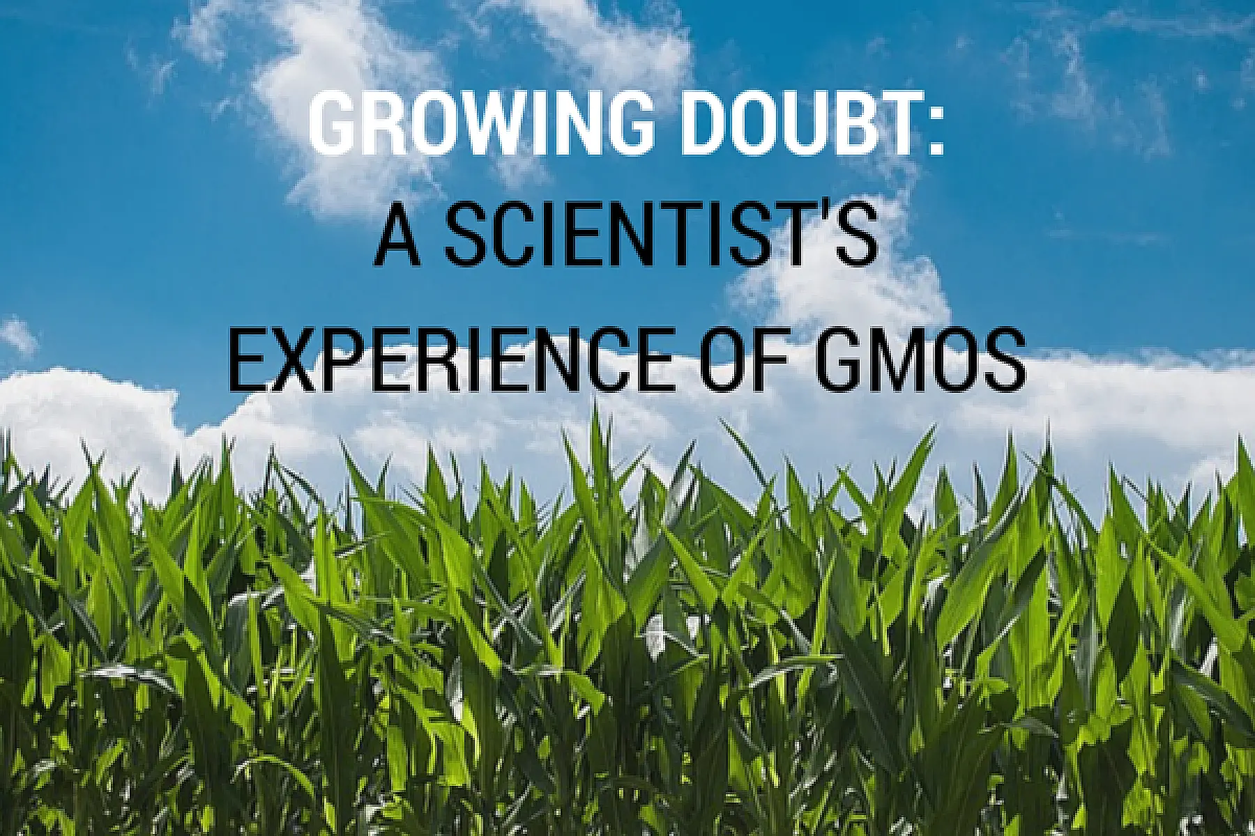Growing Doubt: a Scientist’s Experience of GMOs