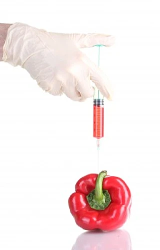 The Human Feeding Experiment and New Disease