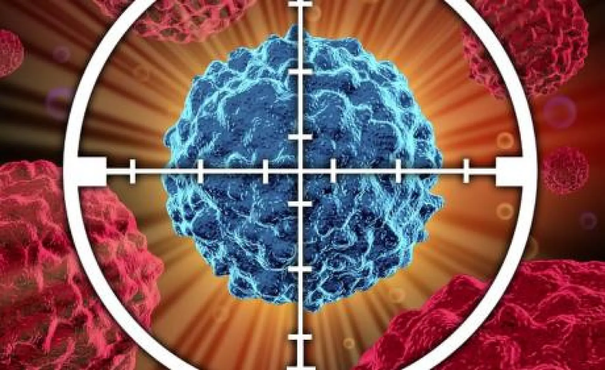 10 Best Cancer Killing Phytonutrients to Eat