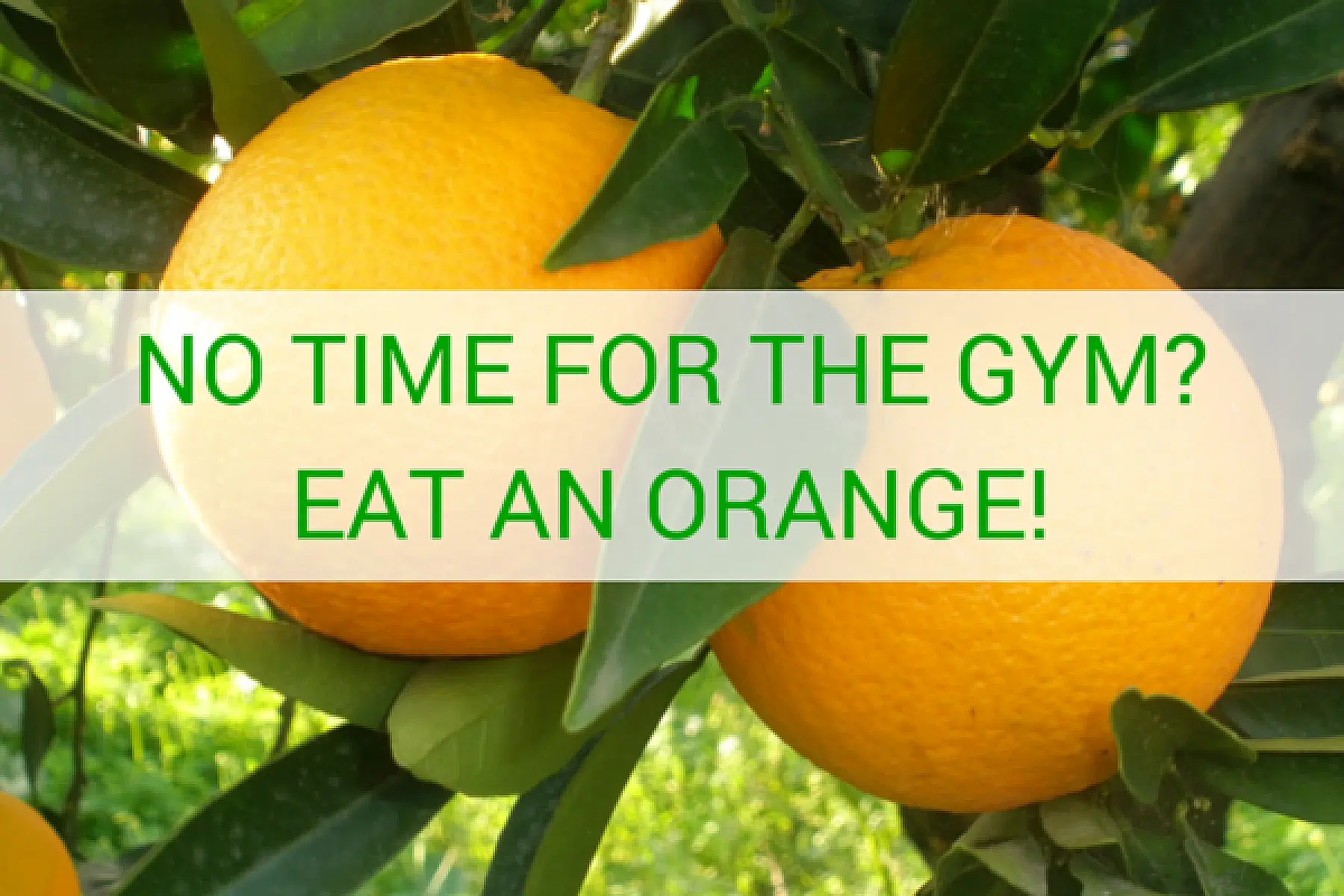 No Time For The Gym?  Eat An Orange!