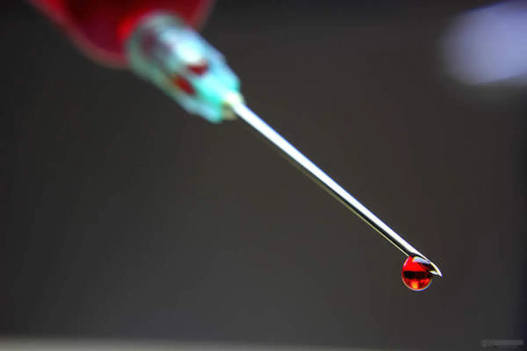 Lethal Viruses Contaminating the US Blood Supply?