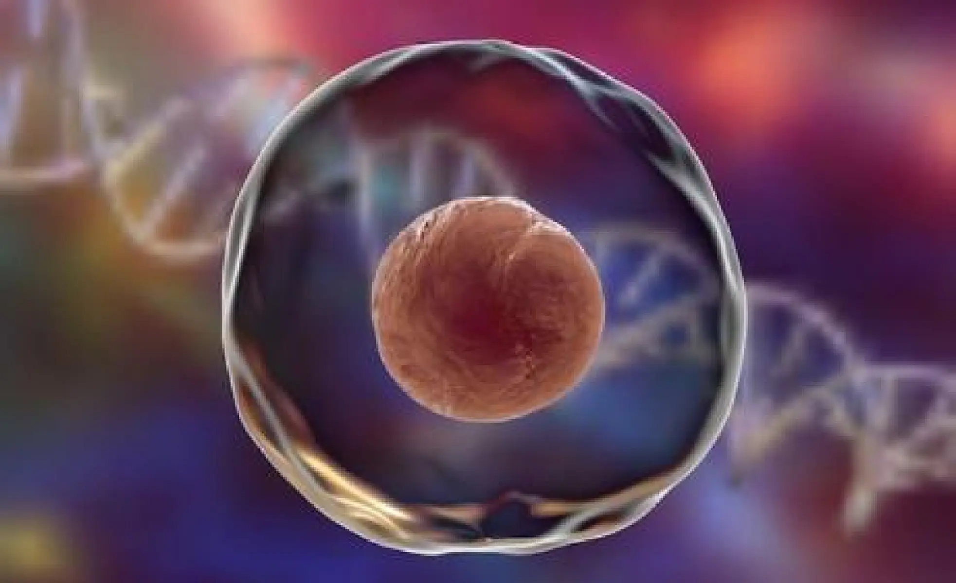 Are Cancer Stem Cells the Key to Discovering a Cure?