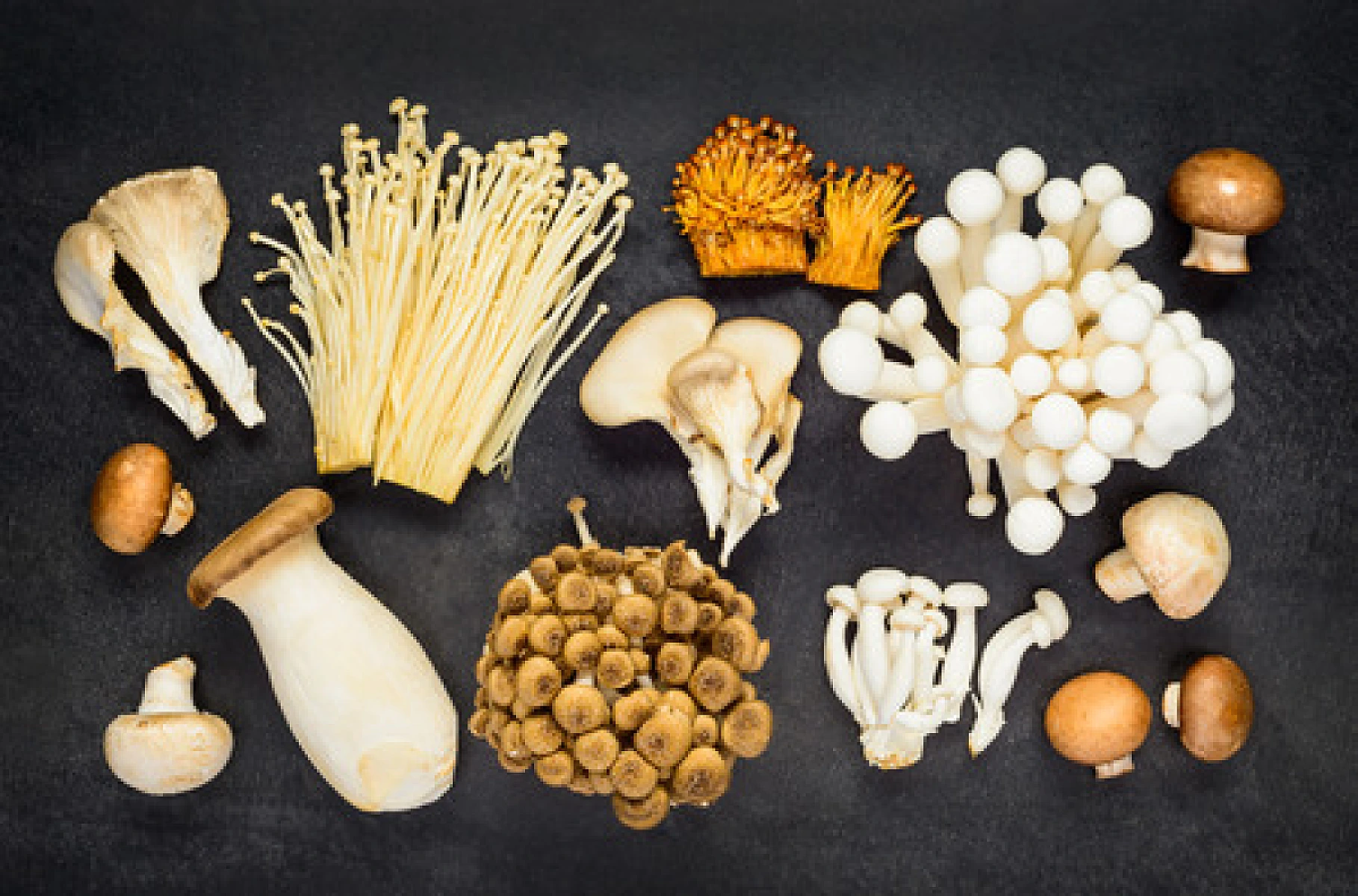 Antioxidants: Fat Soluble