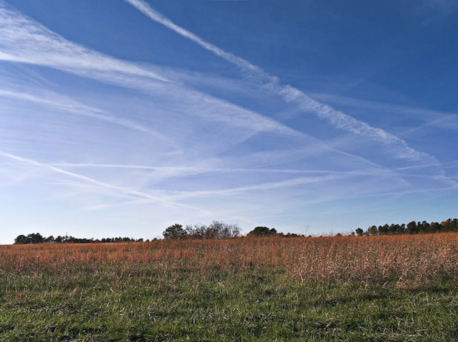 Author’s Rejection of the Retraction of Geoengineering Article