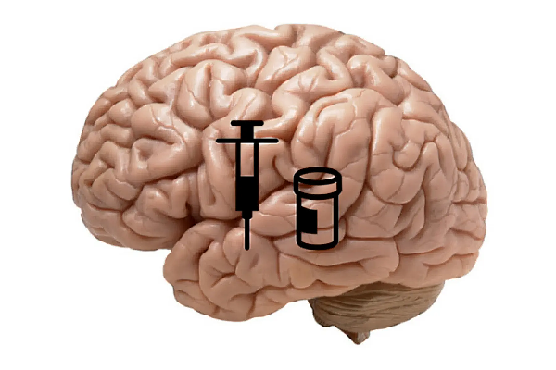 Brain On Fire: Pregnancy, Vaccines & Autism