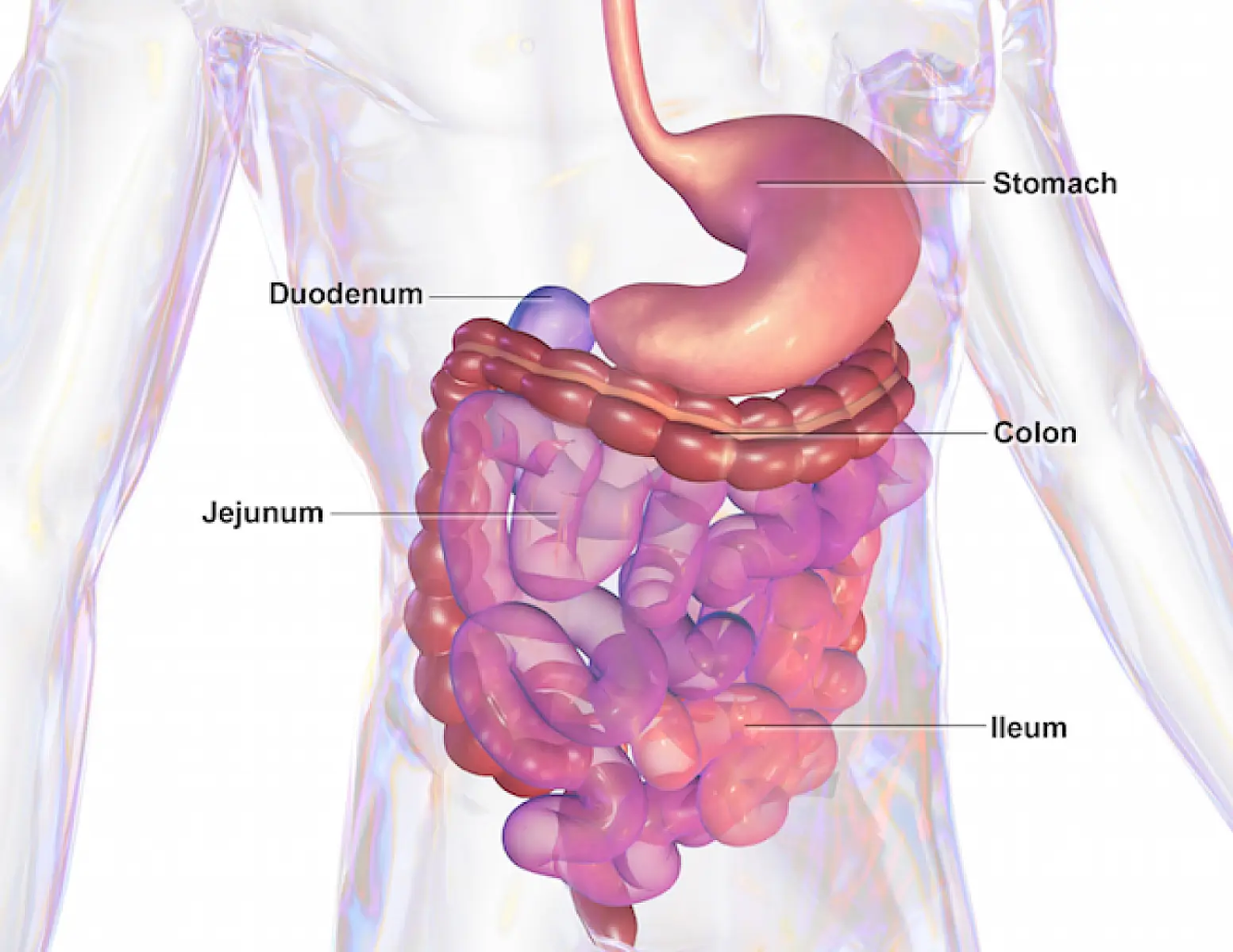 5 Ways to Combat Heartburn Without Pharmaceuticals