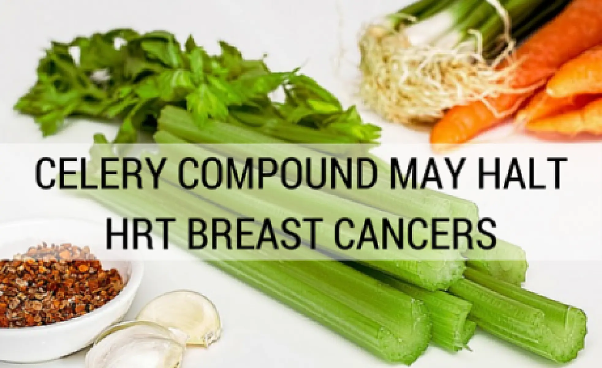 Celery Compound May Halt HRT Breast Cancers
