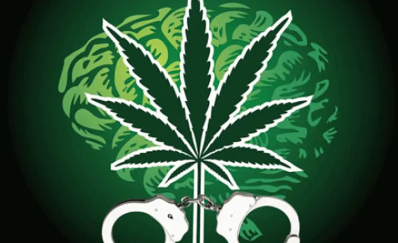 If Cannabis Can Kill 'Incurable' Brain Cancer, Why Is it Criminalized? 