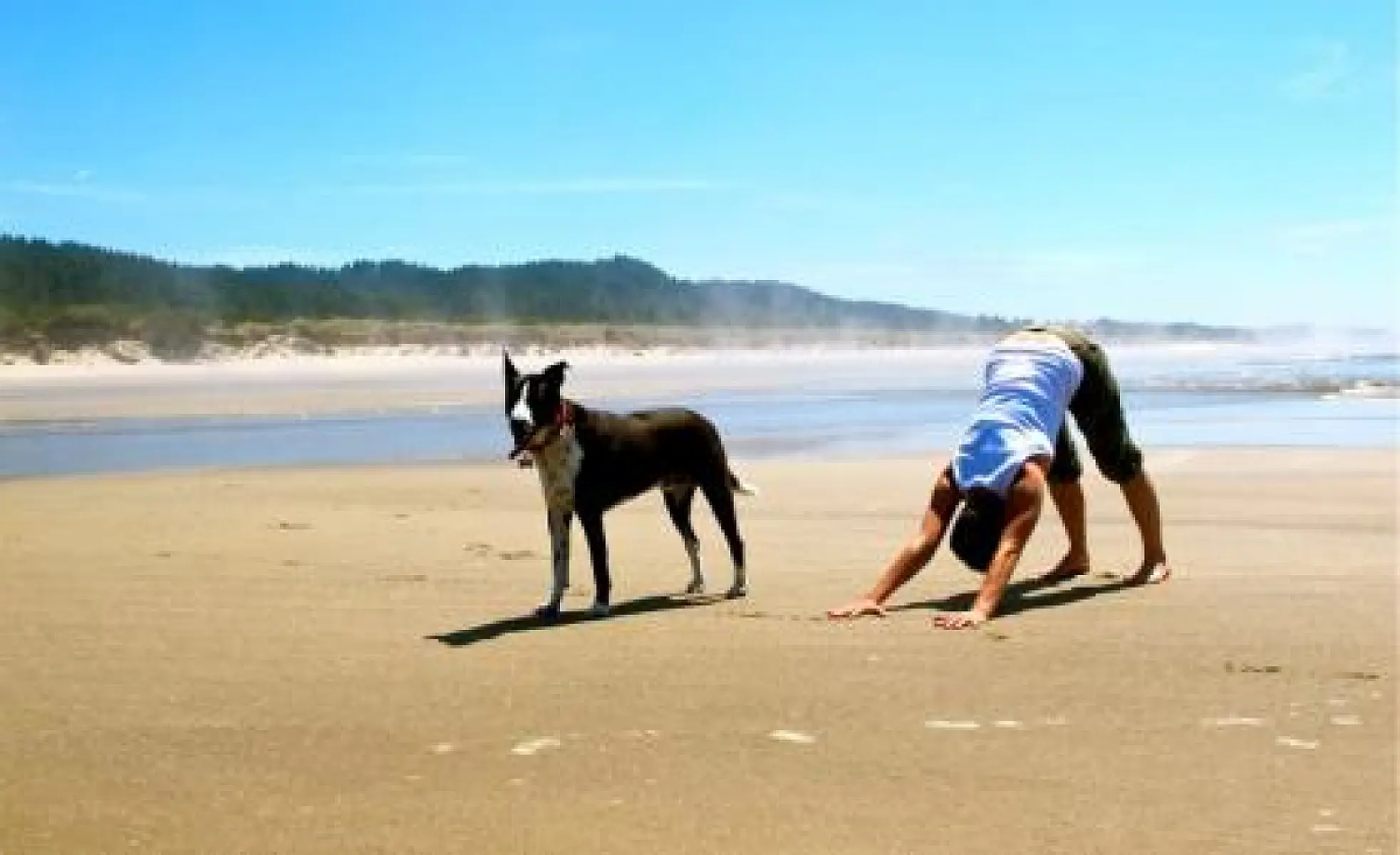 The Real Reason Downward-Facing Dog is so Good for You