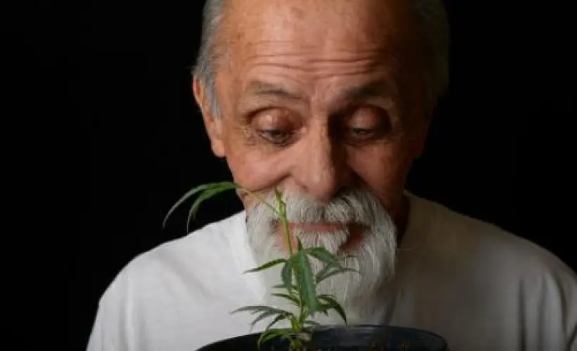 Pot for Parkinson's? The Scientific Evidence Is Compelling