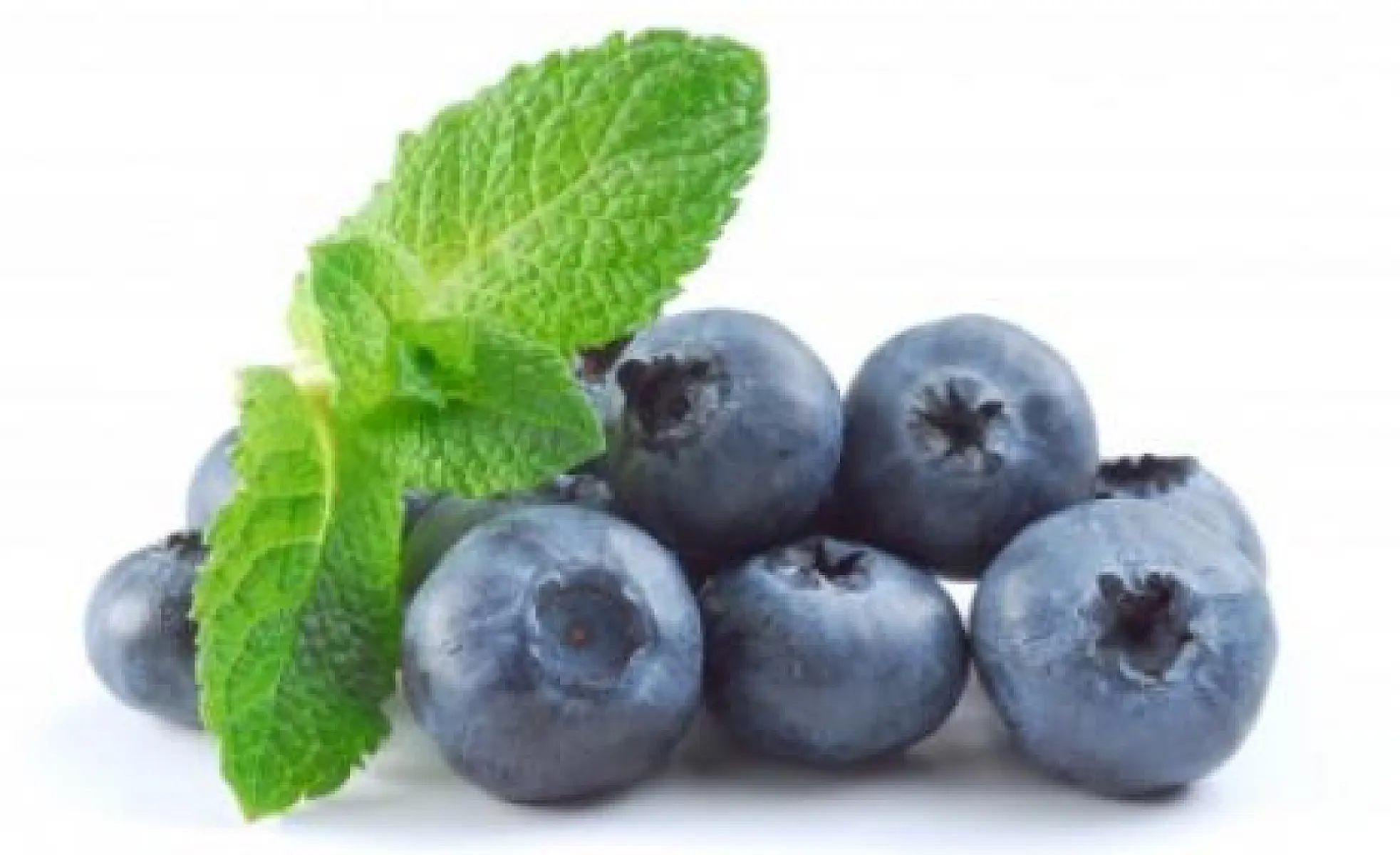 Do Blueberries Hold the Key to Defeating Cancer?
