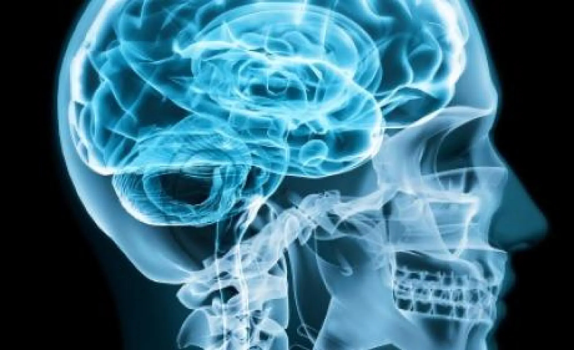 Ways to Reduce the Cancer-Causing Effects of Cell Phones