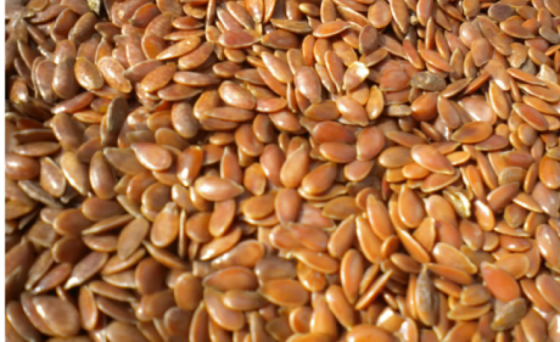 Avoid Drugs & Surgery for Prostate Issues with Flaxseed