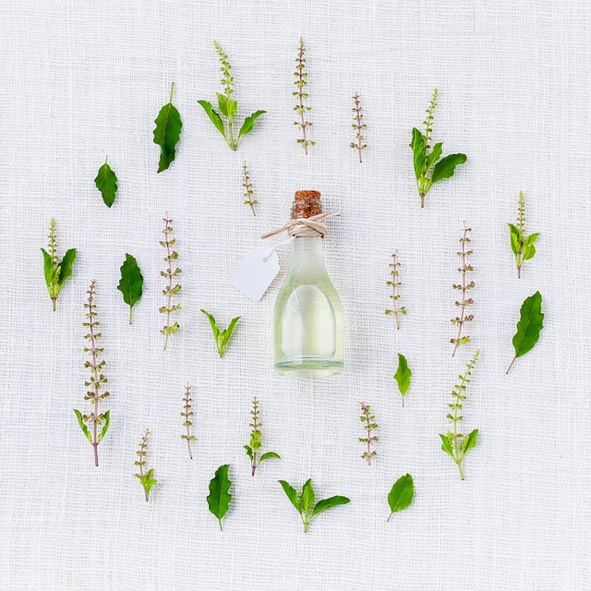 Is Pharma Trying to Eliminate the Homeopathic Competition?