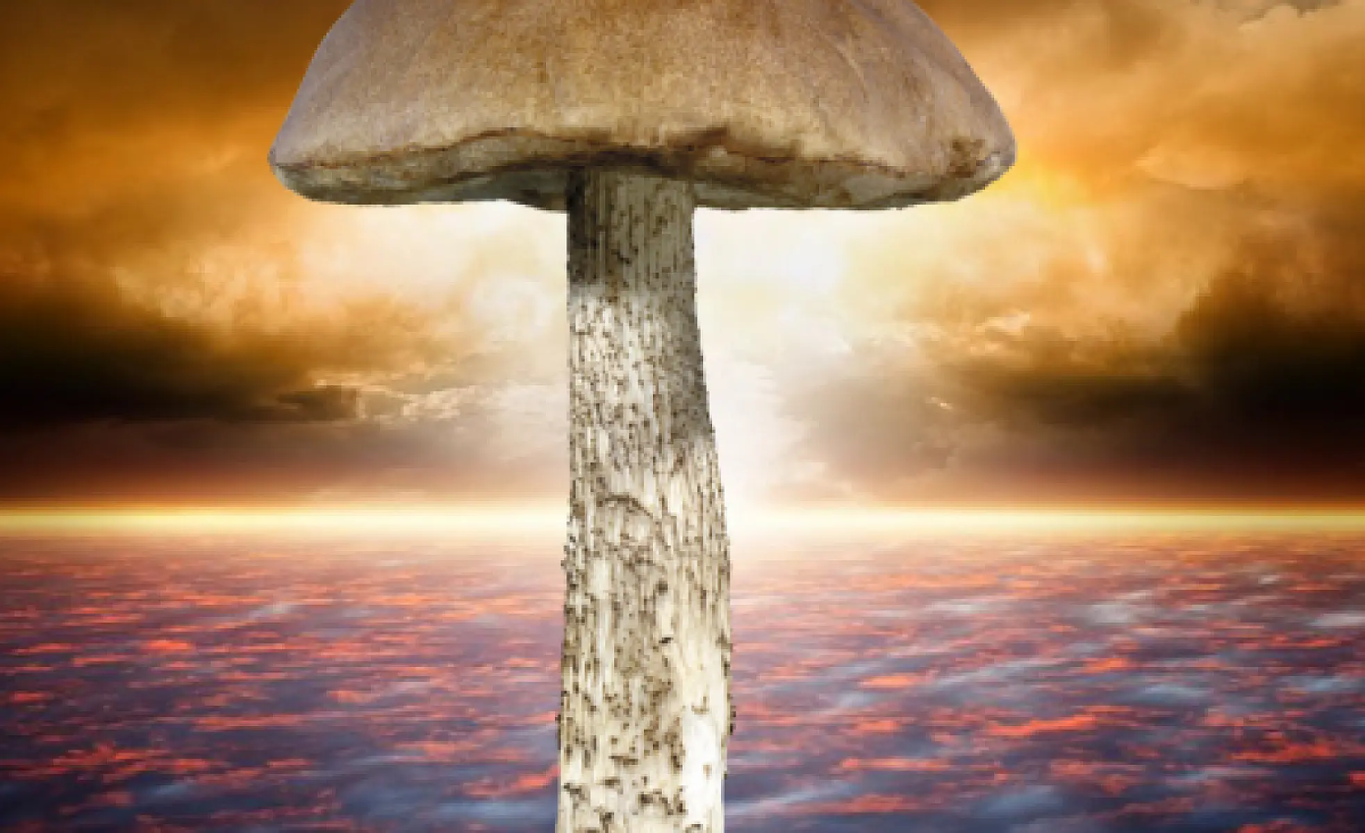 Melanin: The Holy Grail of Radioprotective Food Compounds