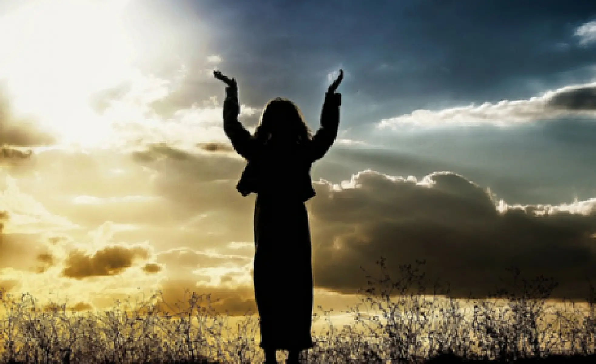 Gratitude is Good for the Heart and Soul