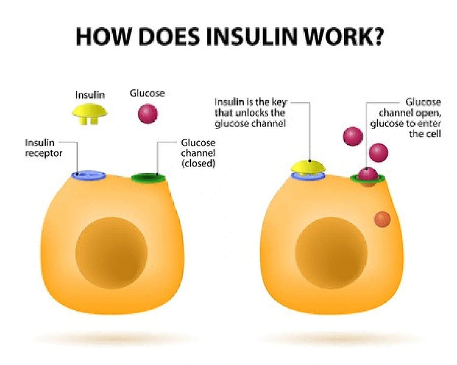 Ai-Chi Aquatic Exercise