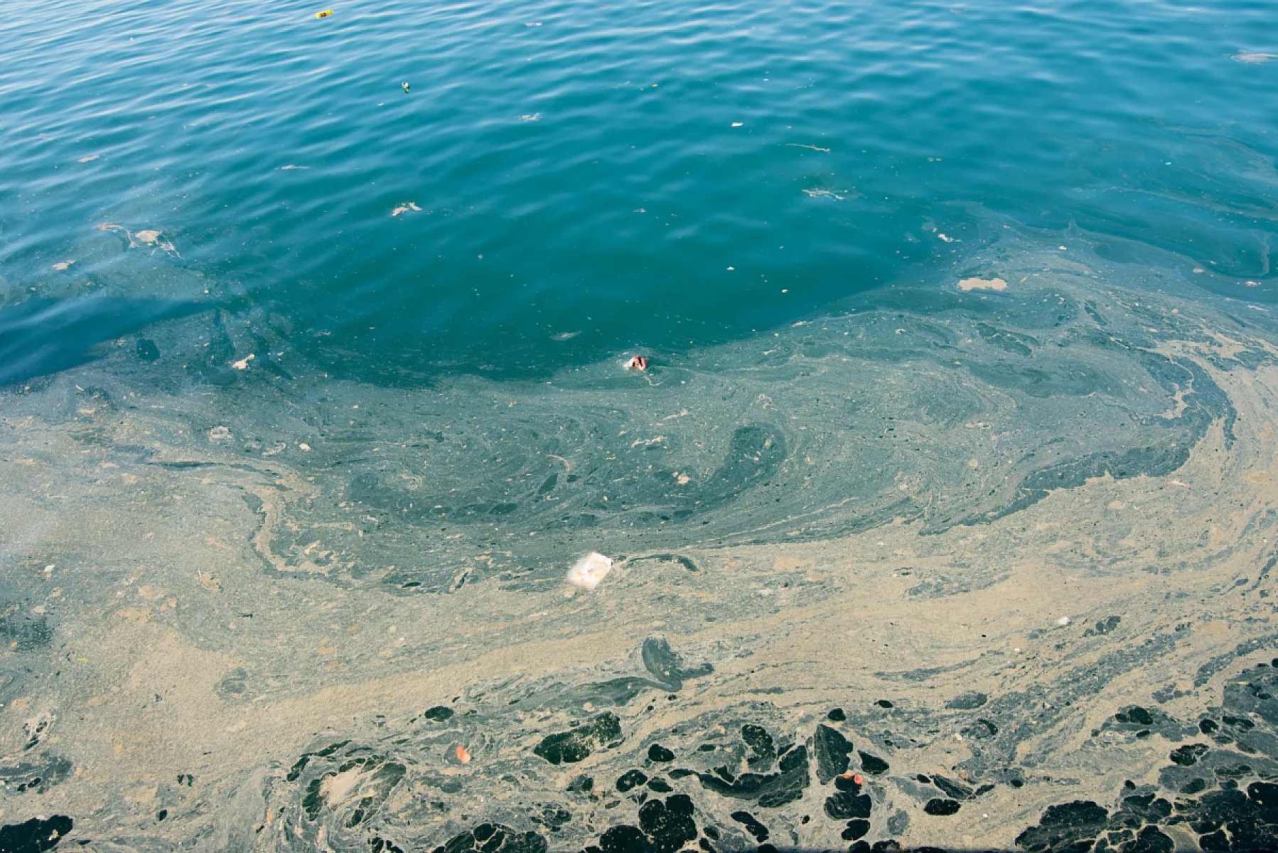 The Poisoned Water of Flint, Michigan