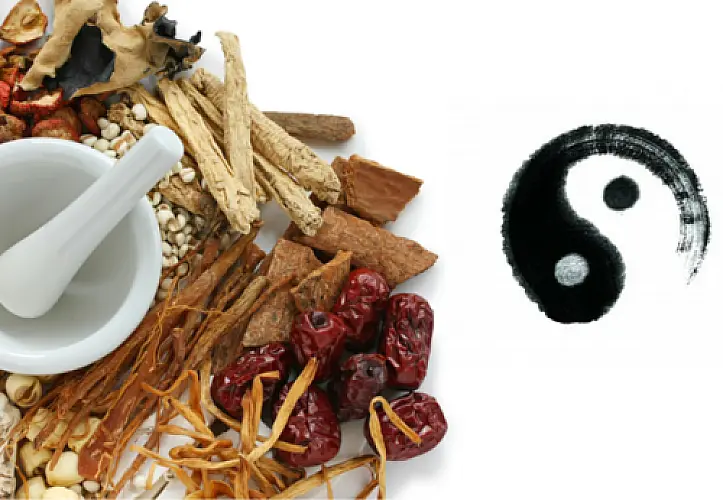 Medicine and the Dao: The Macrocosmic-Microcosmic Forces Driving the Rise of the Feminine