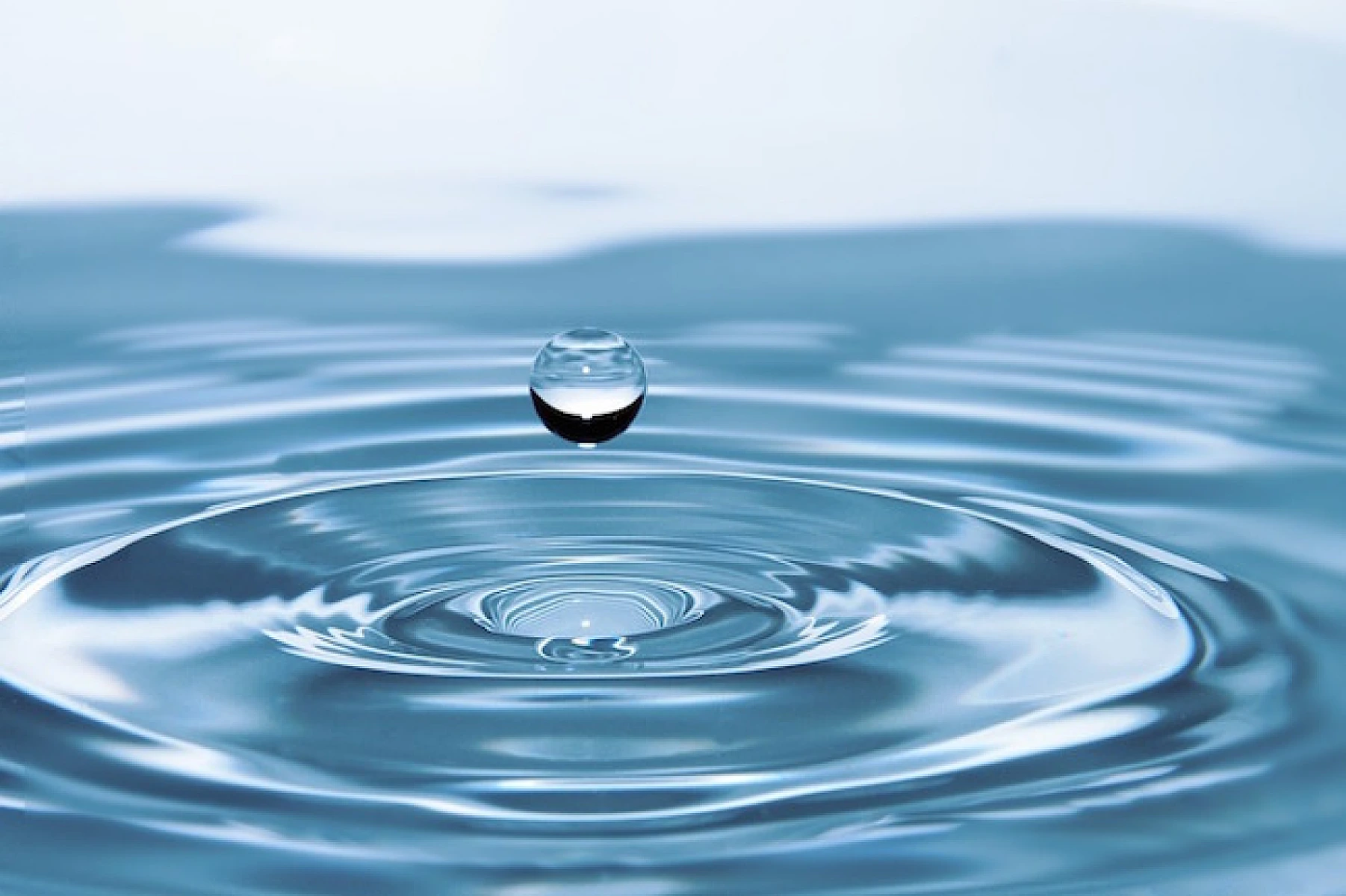 The Waters of Heterodoxy: A Review of Gerald Pollack’s “The Fourth Phase of Water”