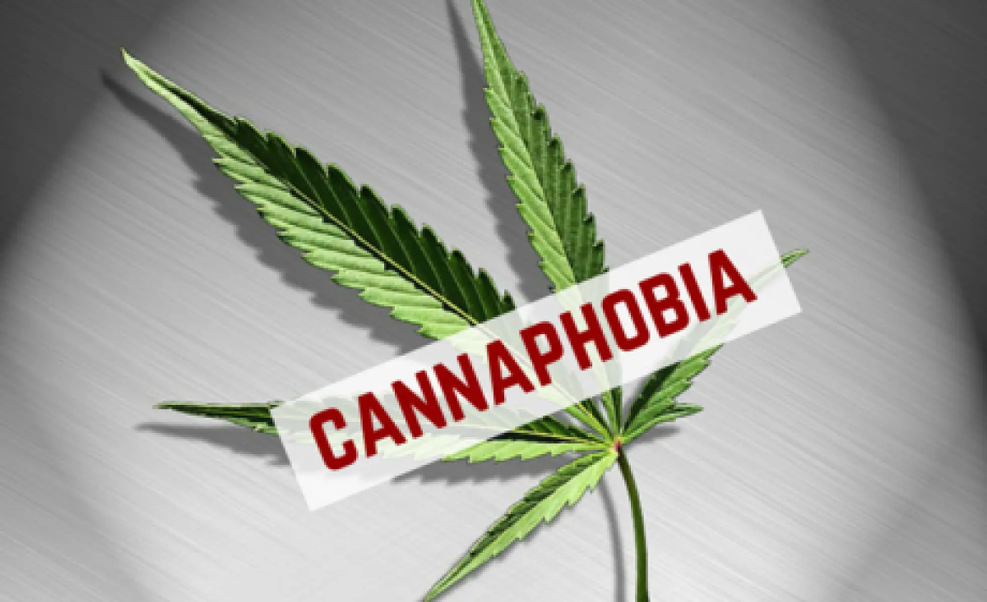 It's Time to Address Cannaphobia