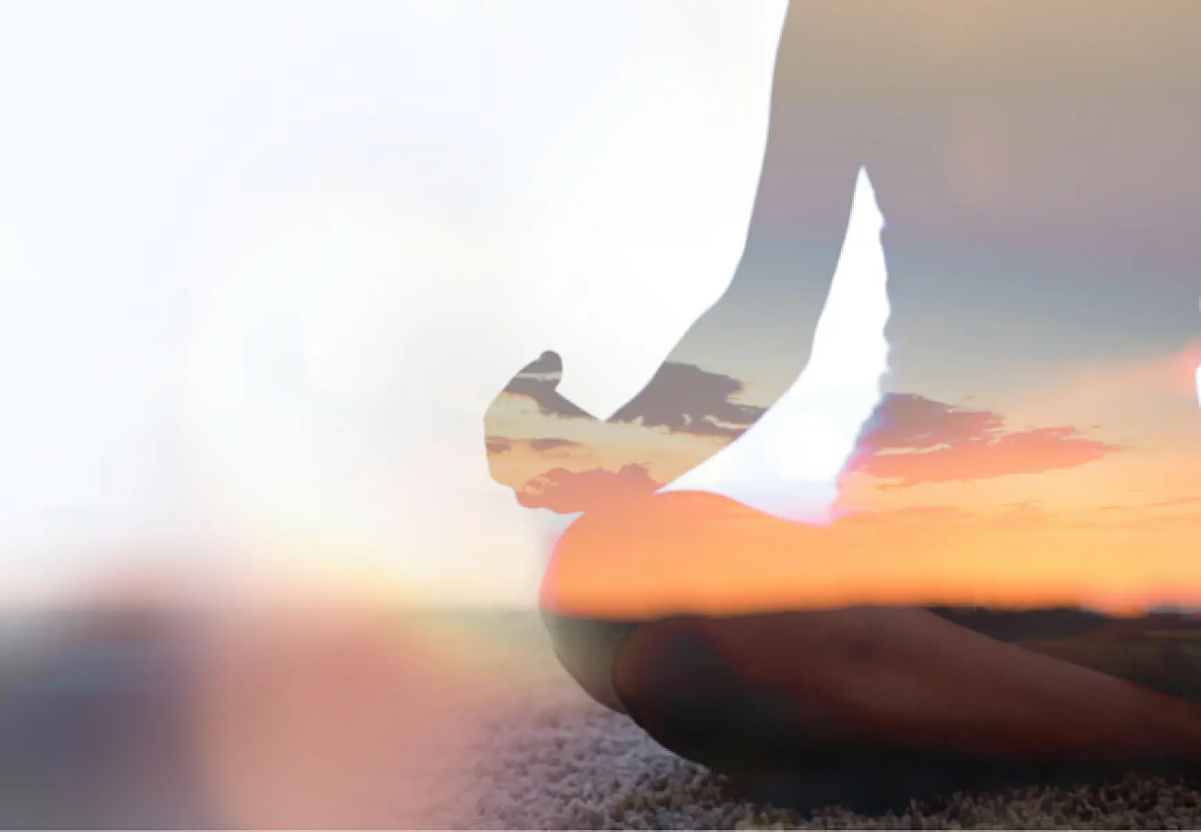 Fritjof Capra on Science and Spirituality