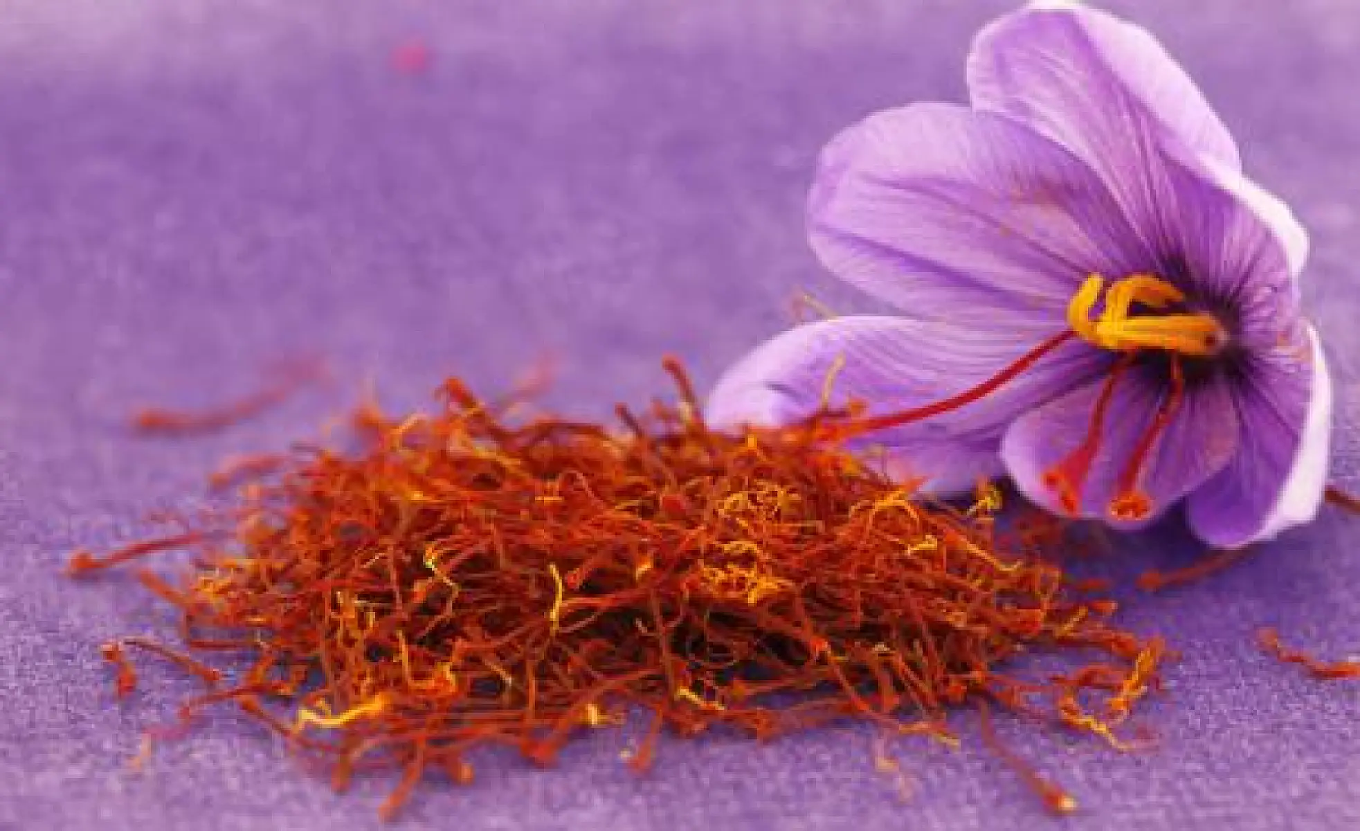 8 Proven Health Benefits of Saffron
