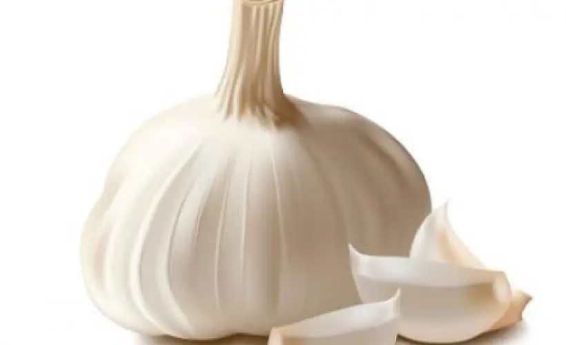 How to Treat a Vaginal Infection with a Clove of Garlic